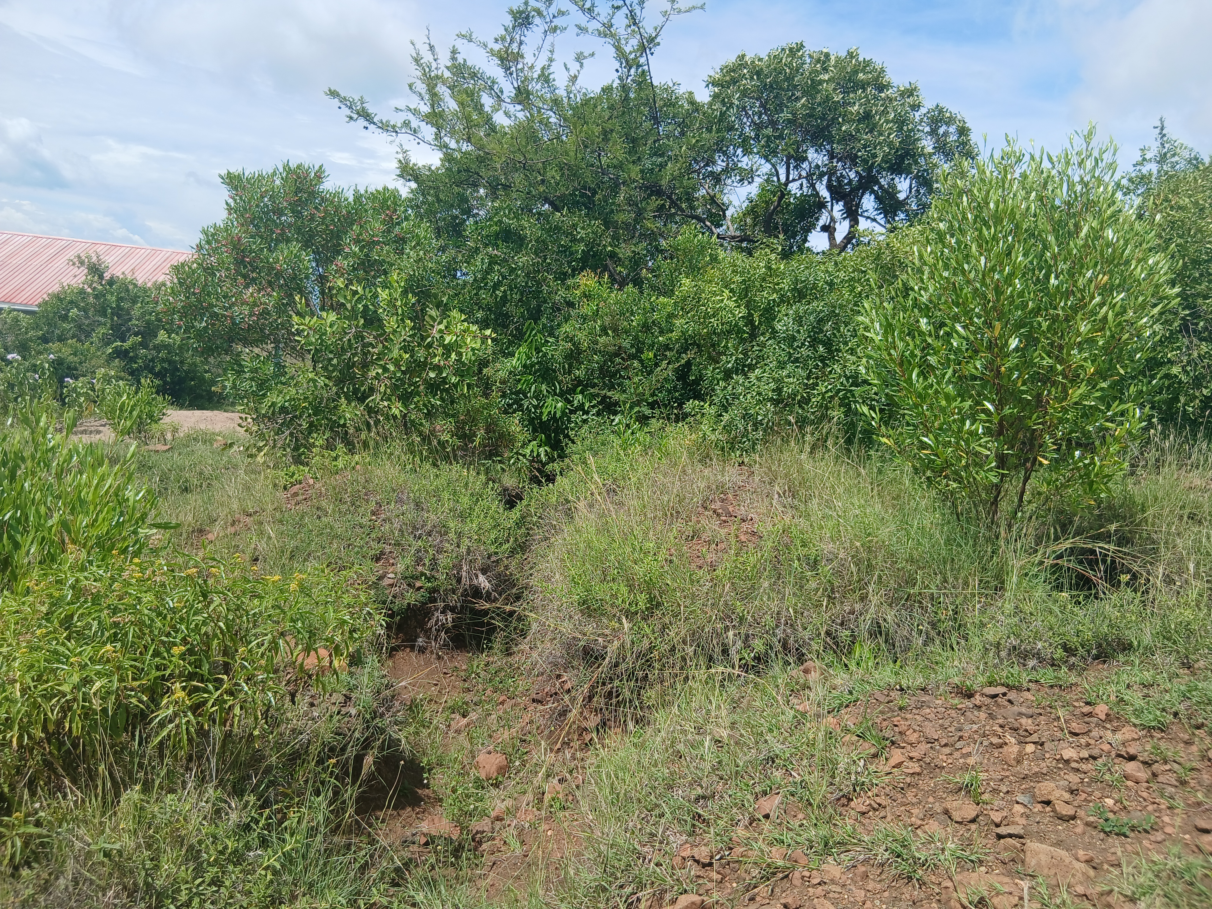 Kirambo dispensary staff house