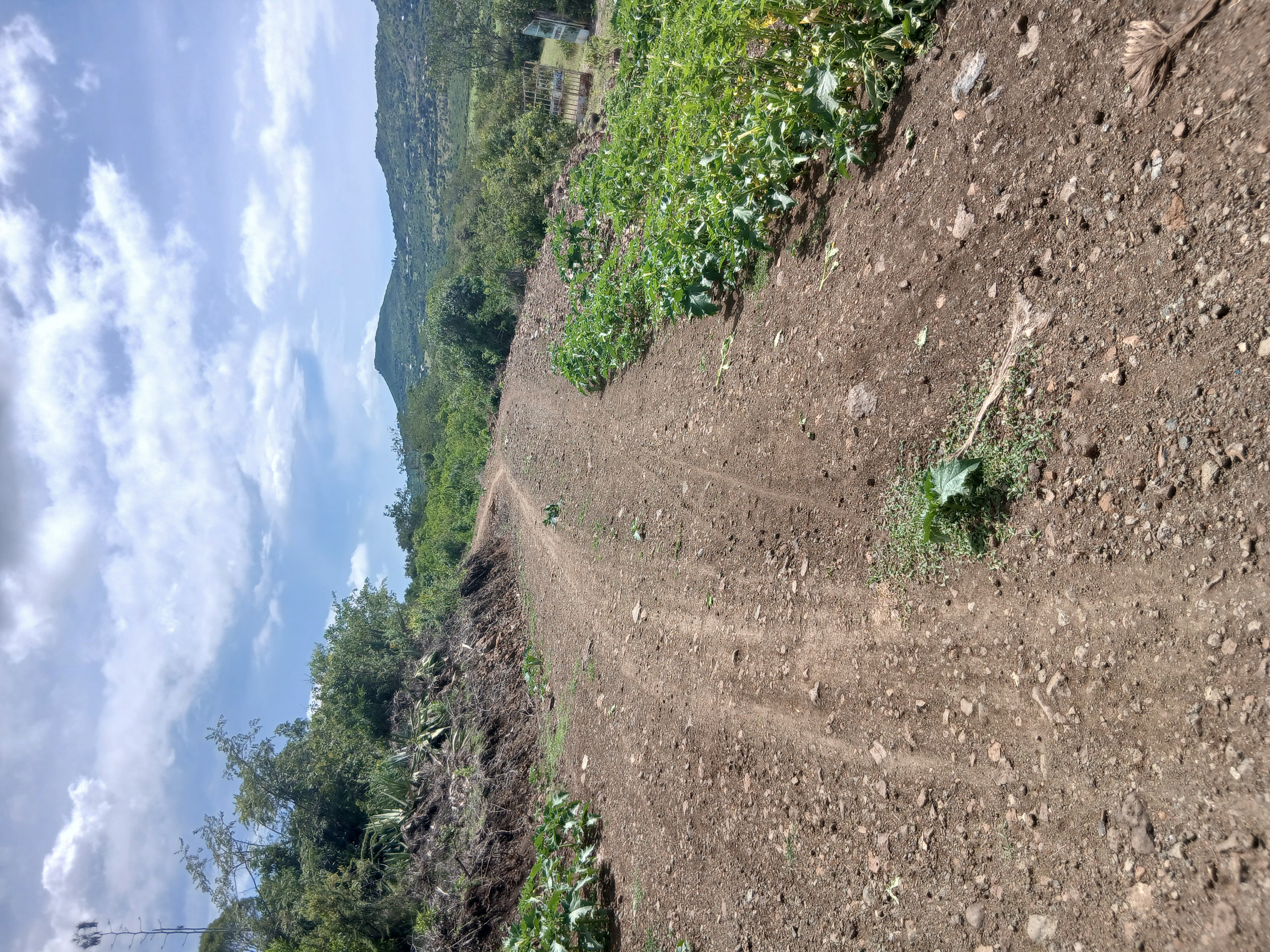 Kirambo HC - Kamatunga - Misii road