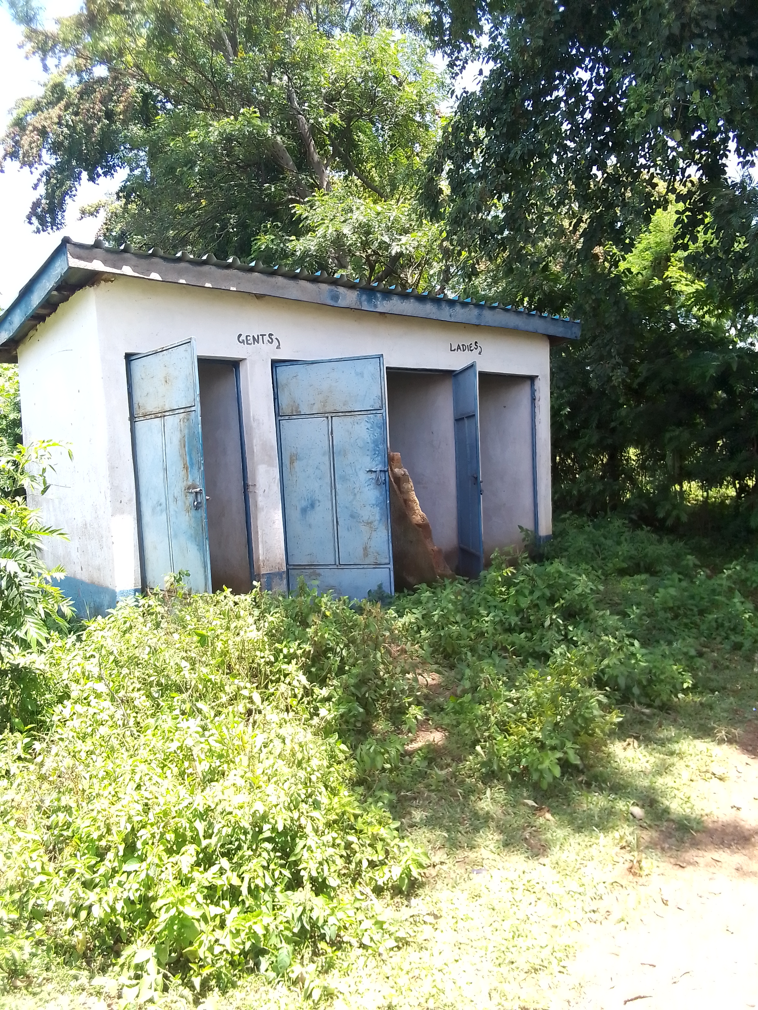 Kachar market pit latrine
