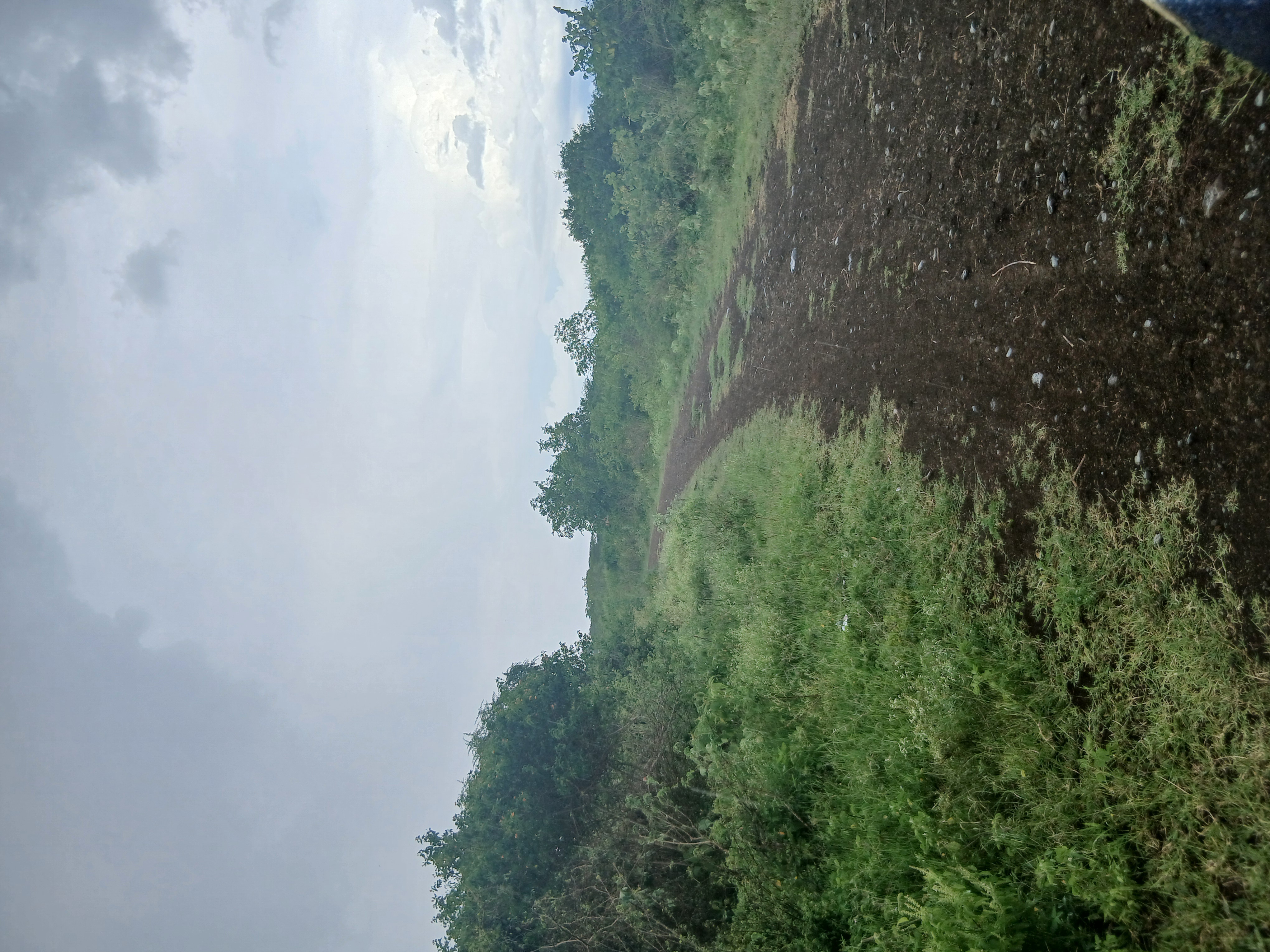 Kirindo Kadipo Kisui road