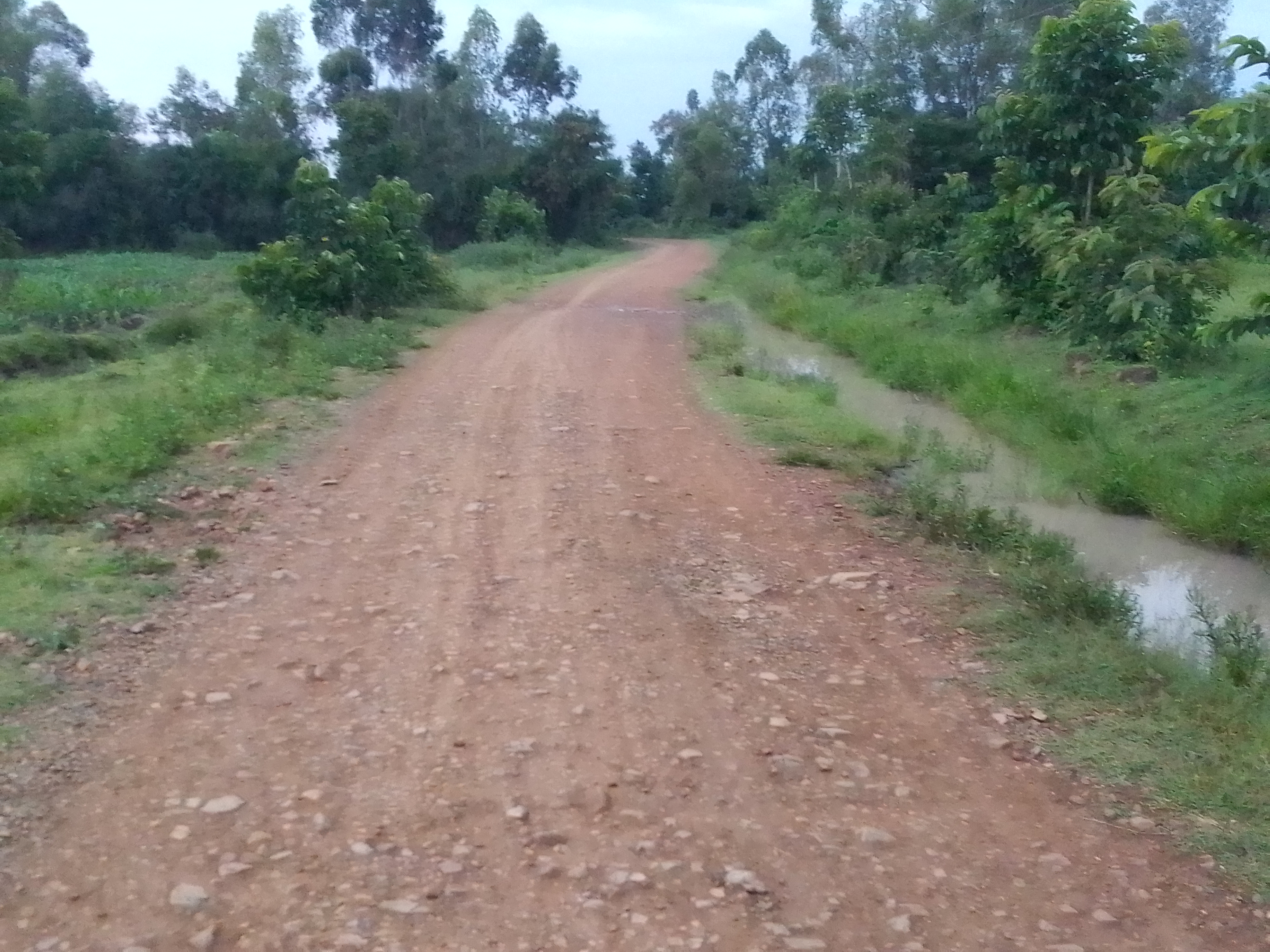 Kamwalo - Nyaliech - Chiepe Road