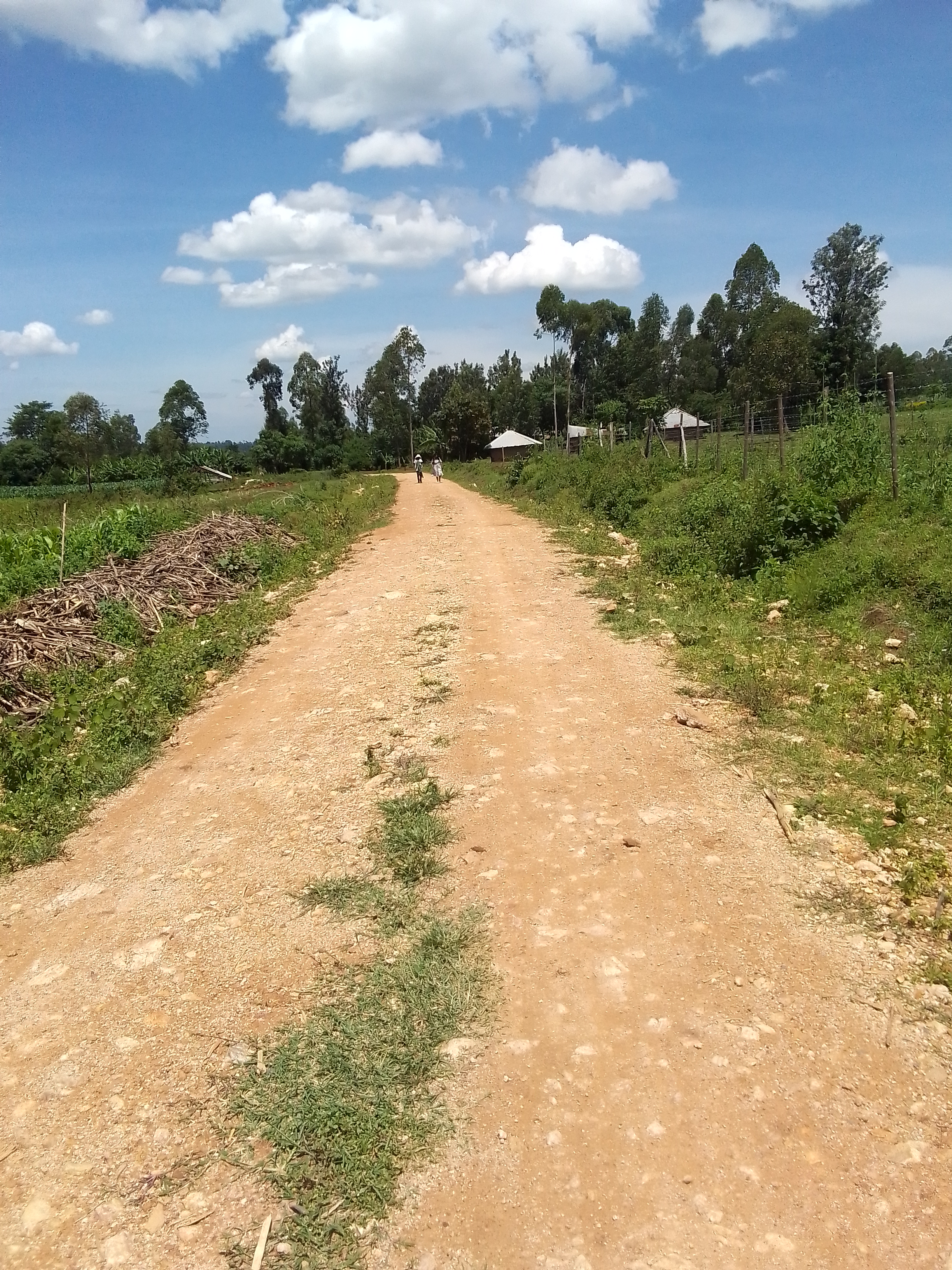 Kochoo - Nyawawa- Nyakuru Road