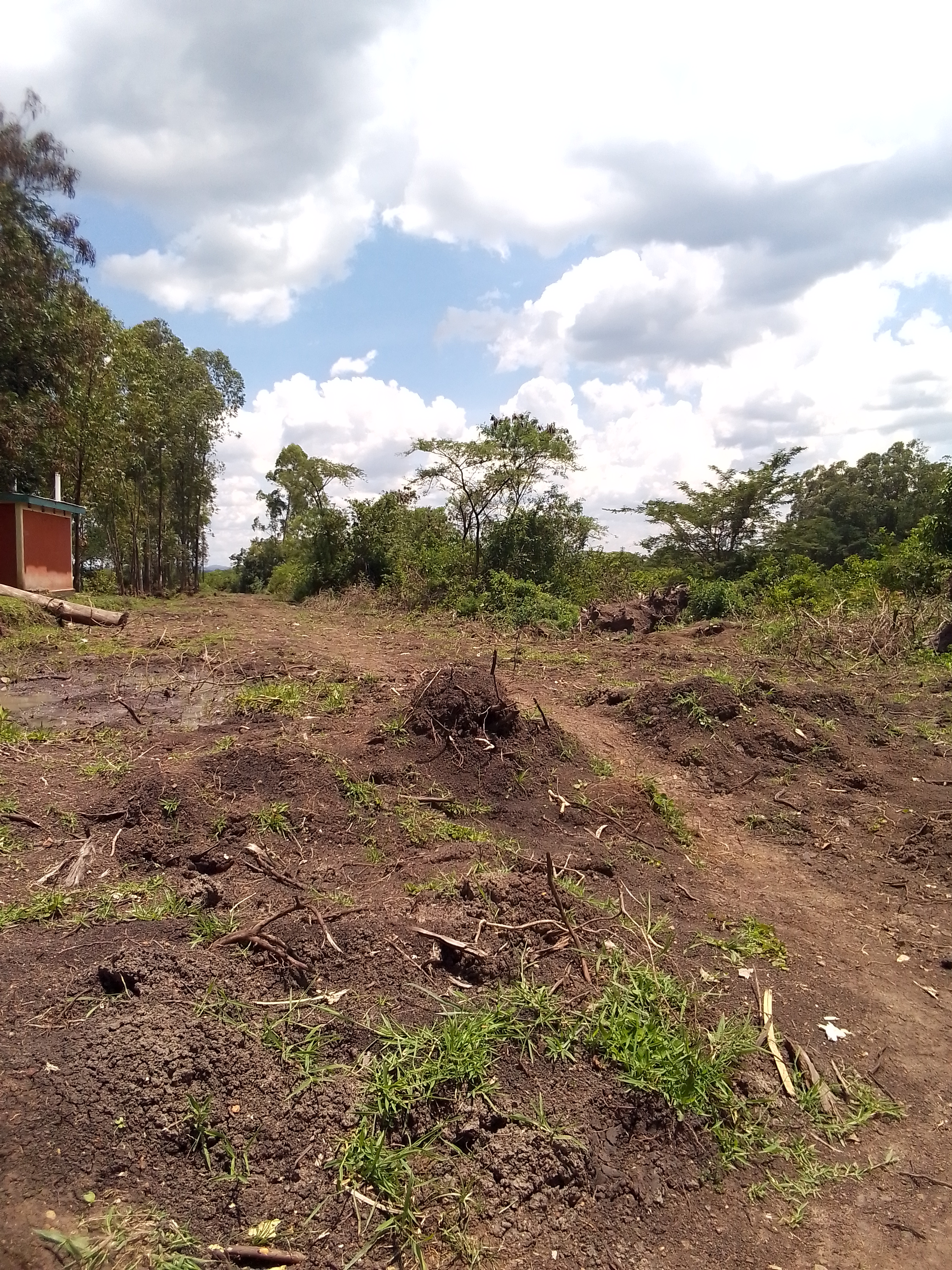 Aoch Muga - riegi -oboke road