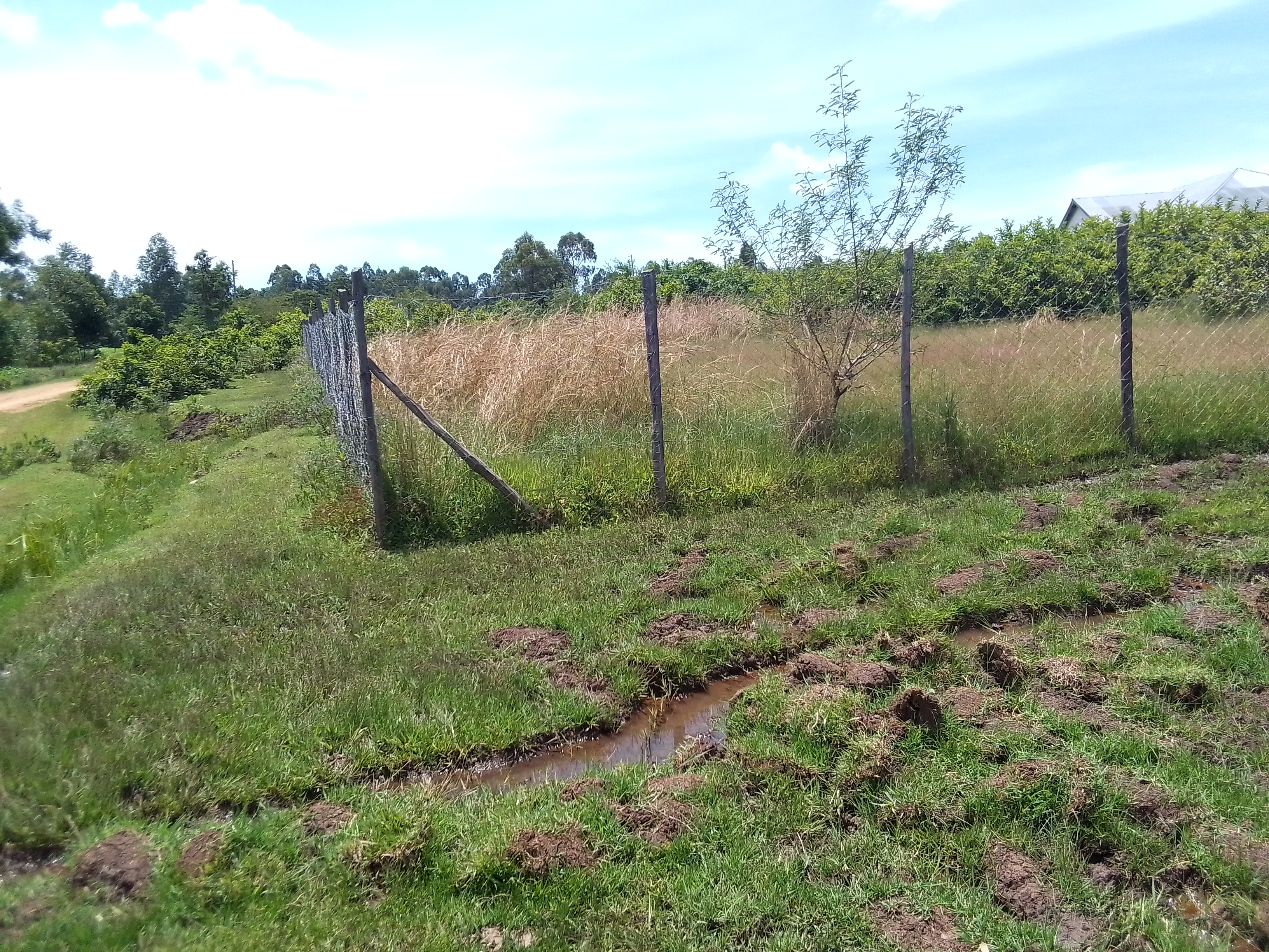 Fencing of Aoch Muga health center