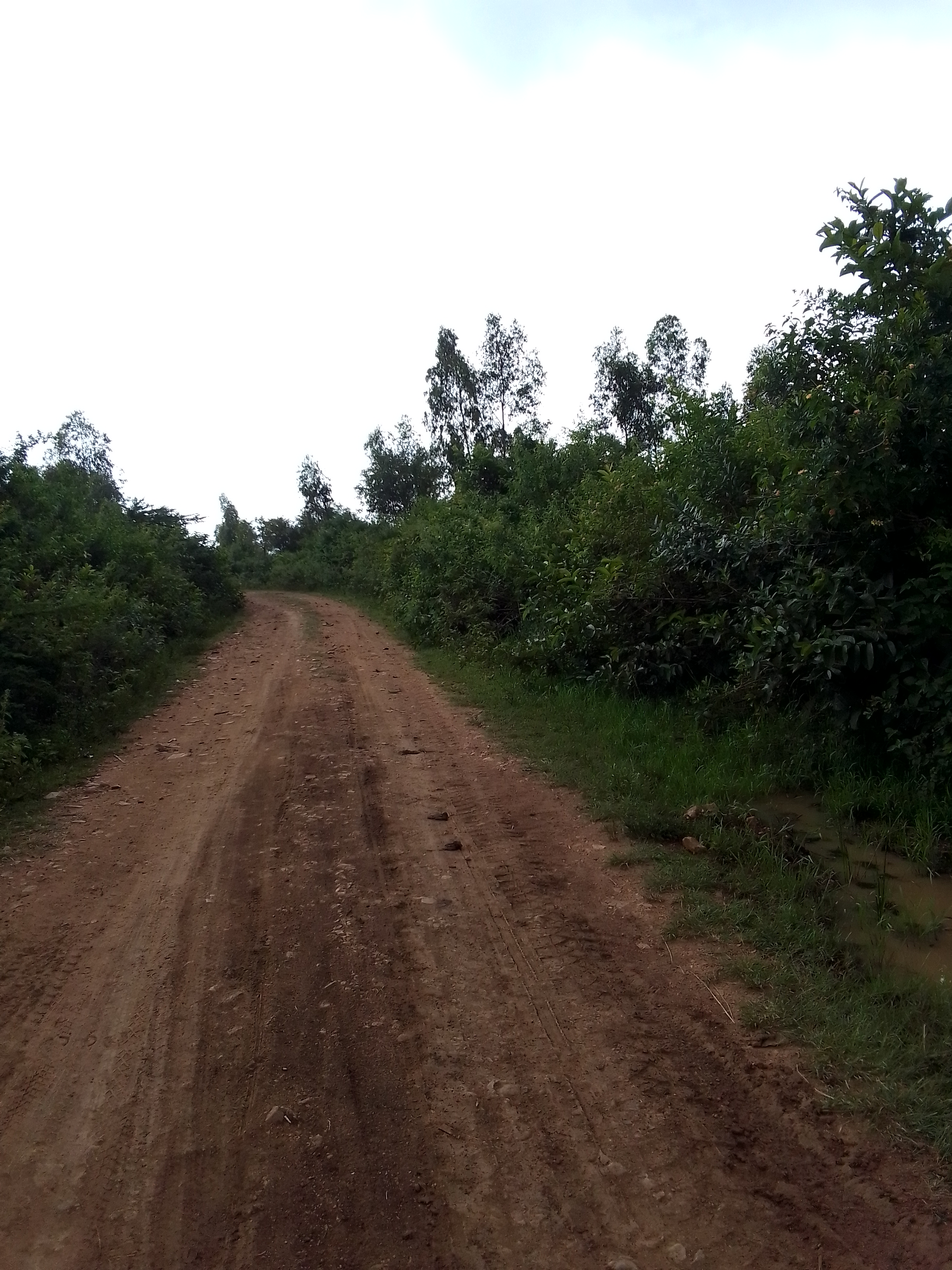 JNC oluso- Nduga- Anind Oko - Sango Gem Road