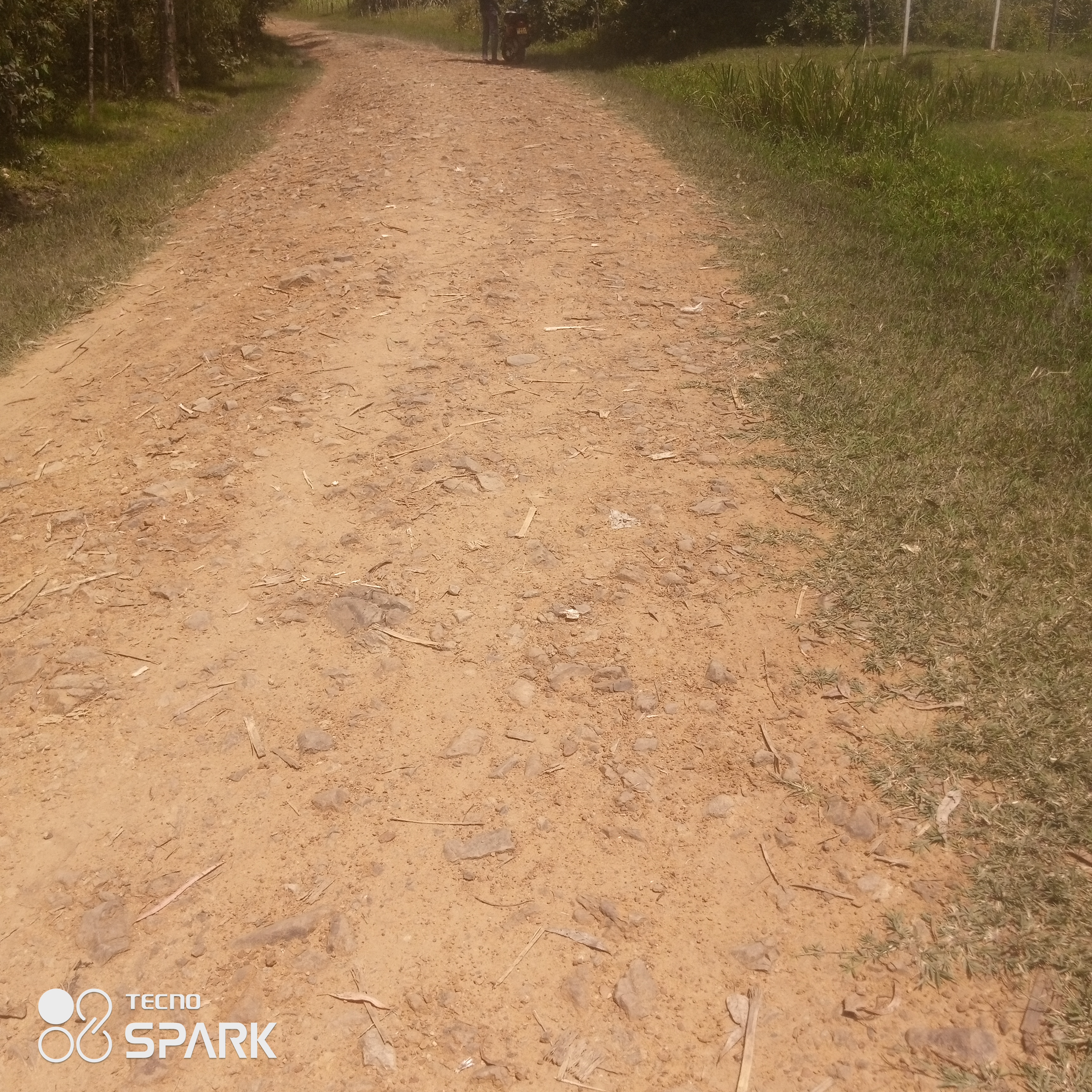 Proposed opening and graveling of ngere Opande rage border road
