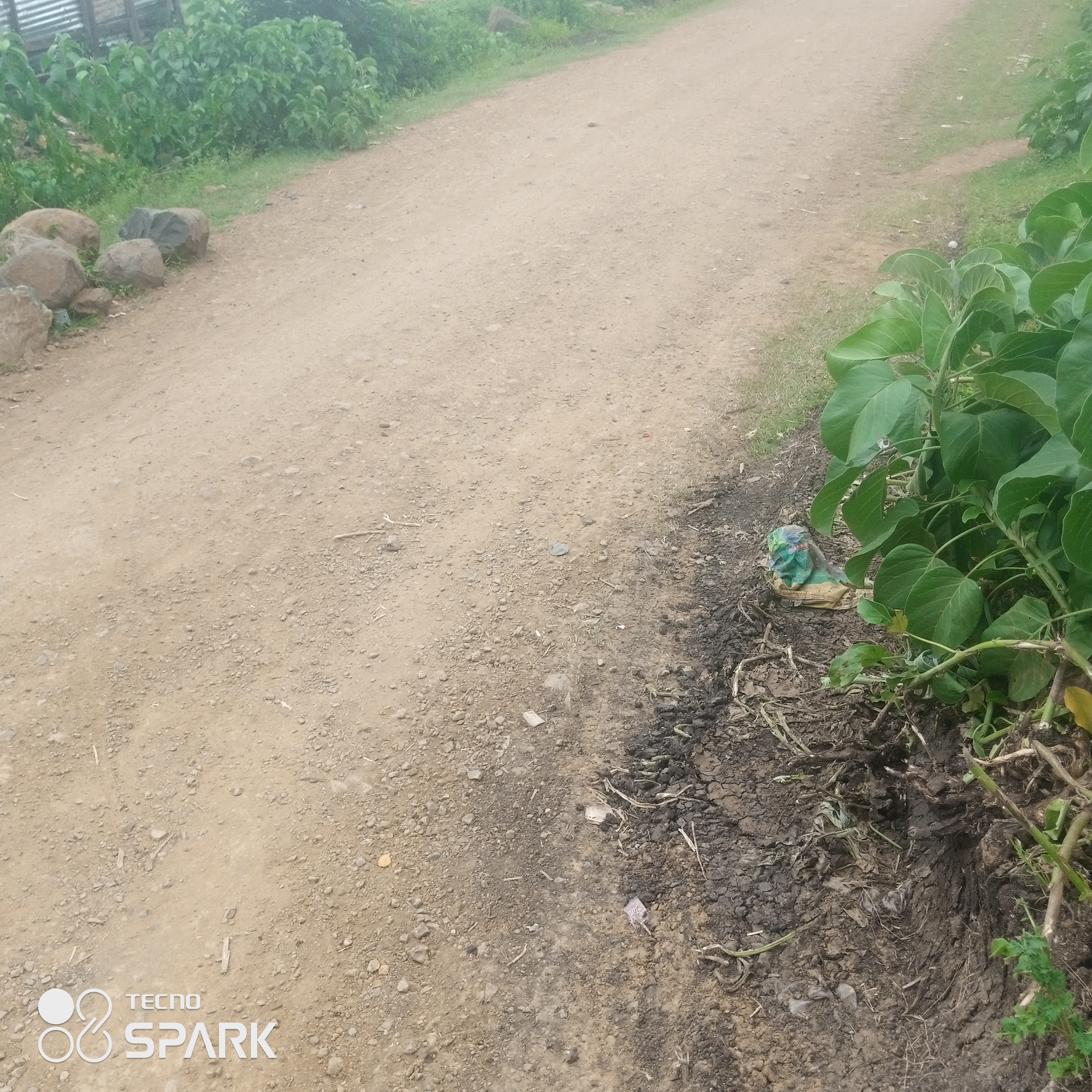 Proposed maintenance of ouru kahaya arunda arujo kochien Homa Bay high school road