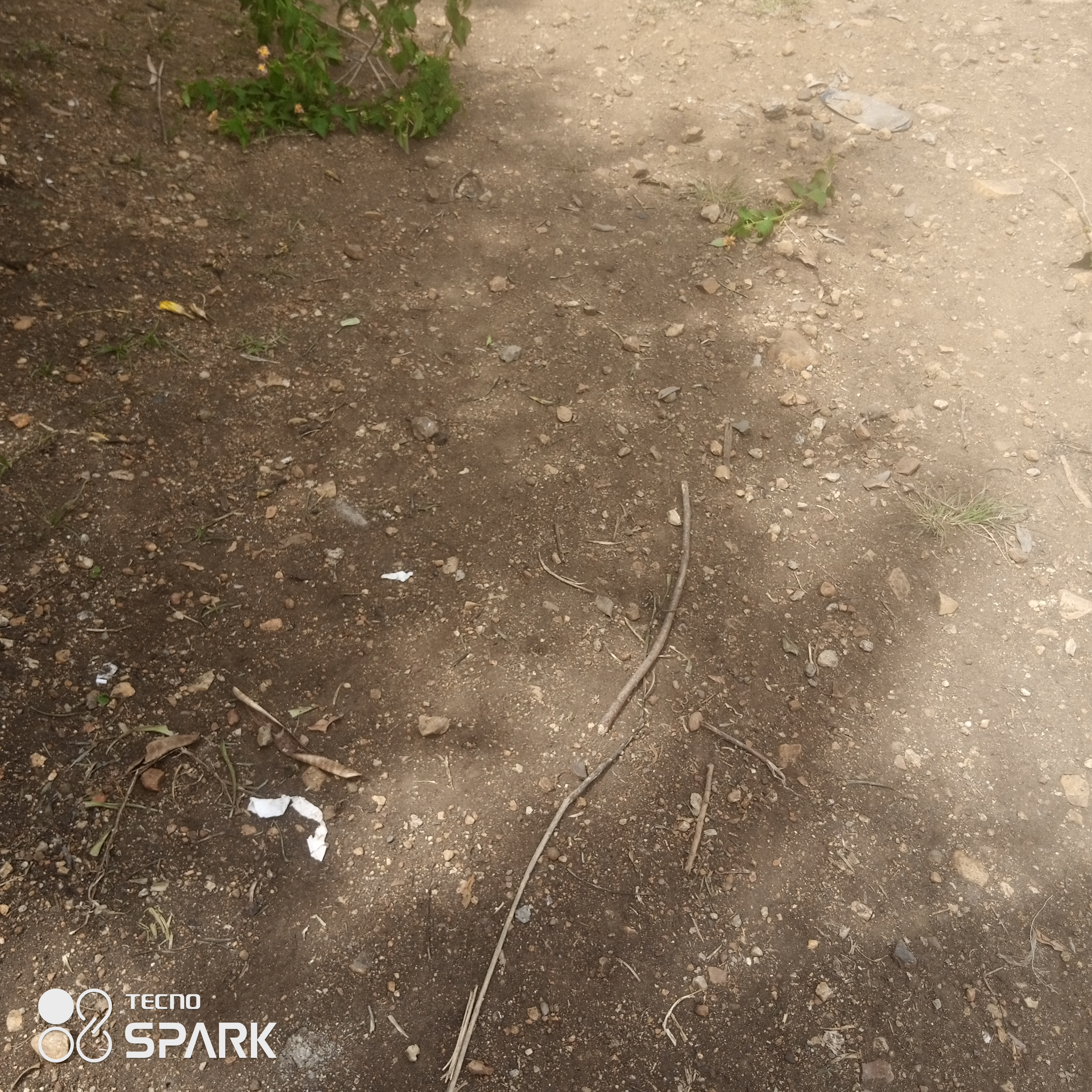 Proposed opening and maintenance of pedo health centre access road