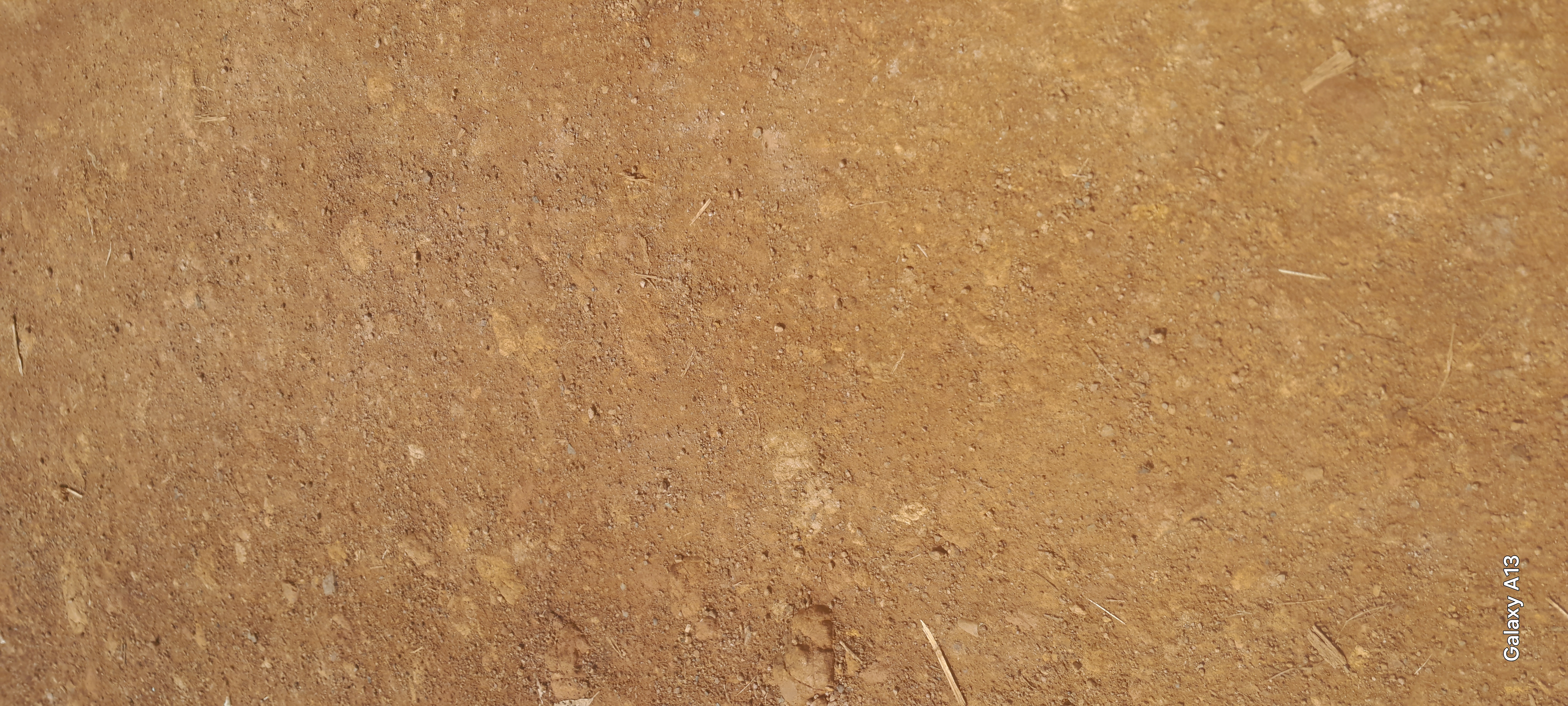 Mirogi-Koduogo-Unga jncriad