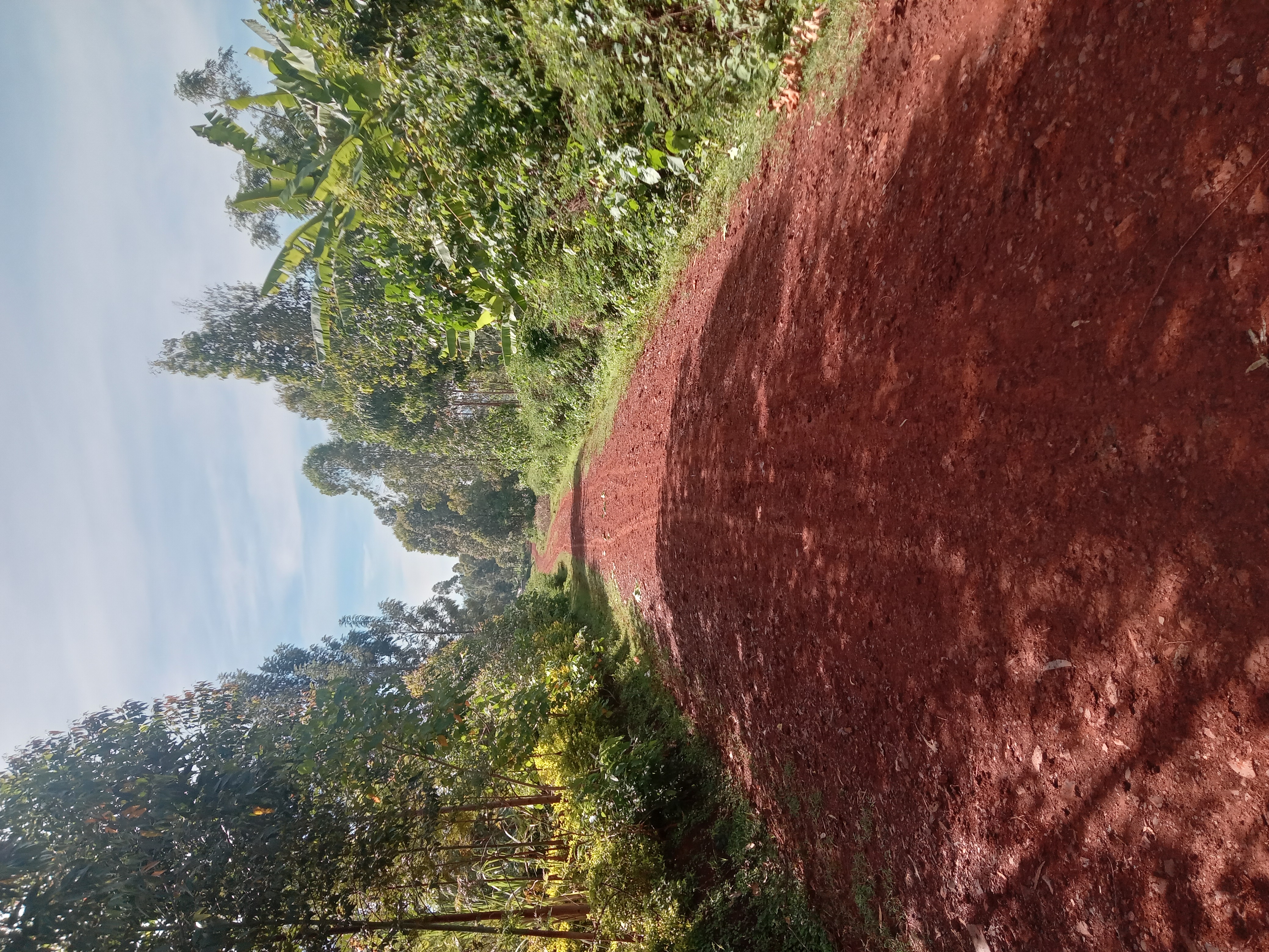 CORNER KAJAKISUMO- NYAMWAGA ROAD