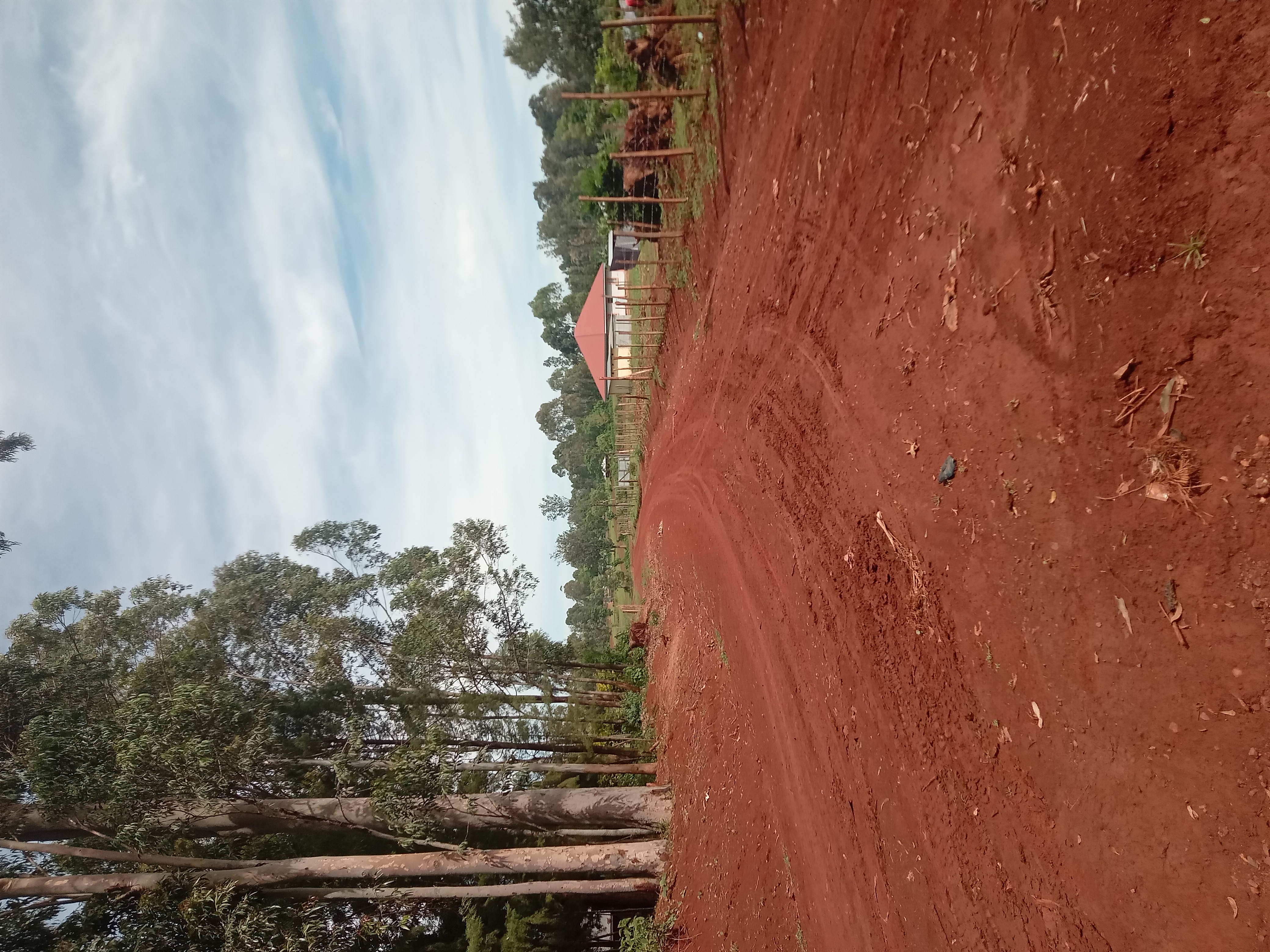 Junction Kowili- Canan SDA- Alaro Road