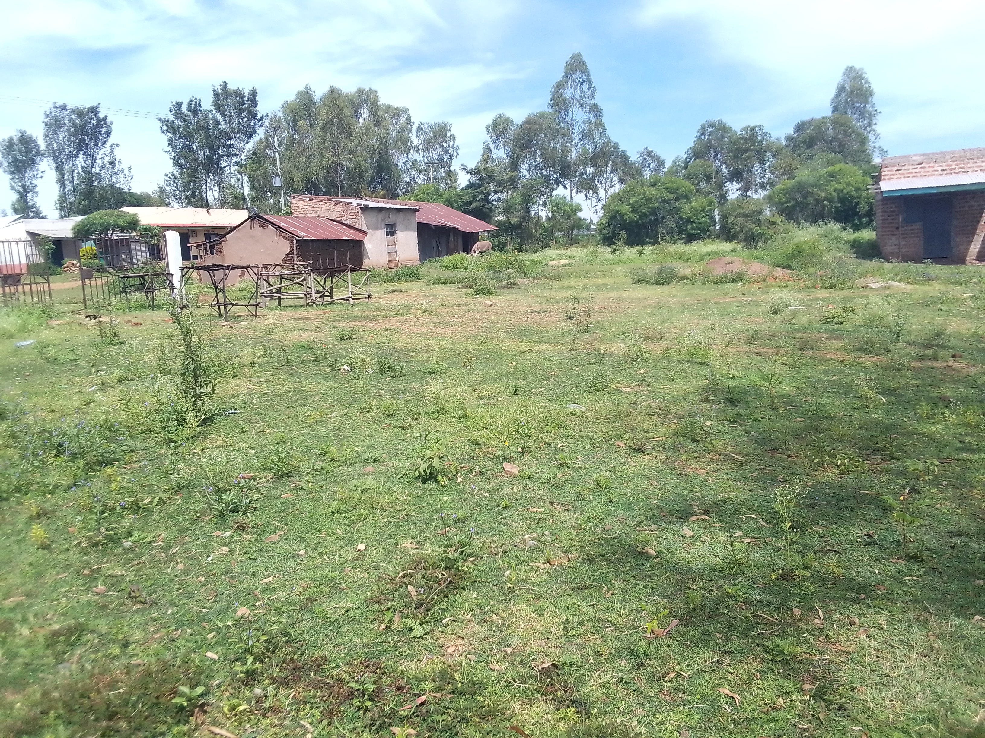 Murraming of Ogumo- market