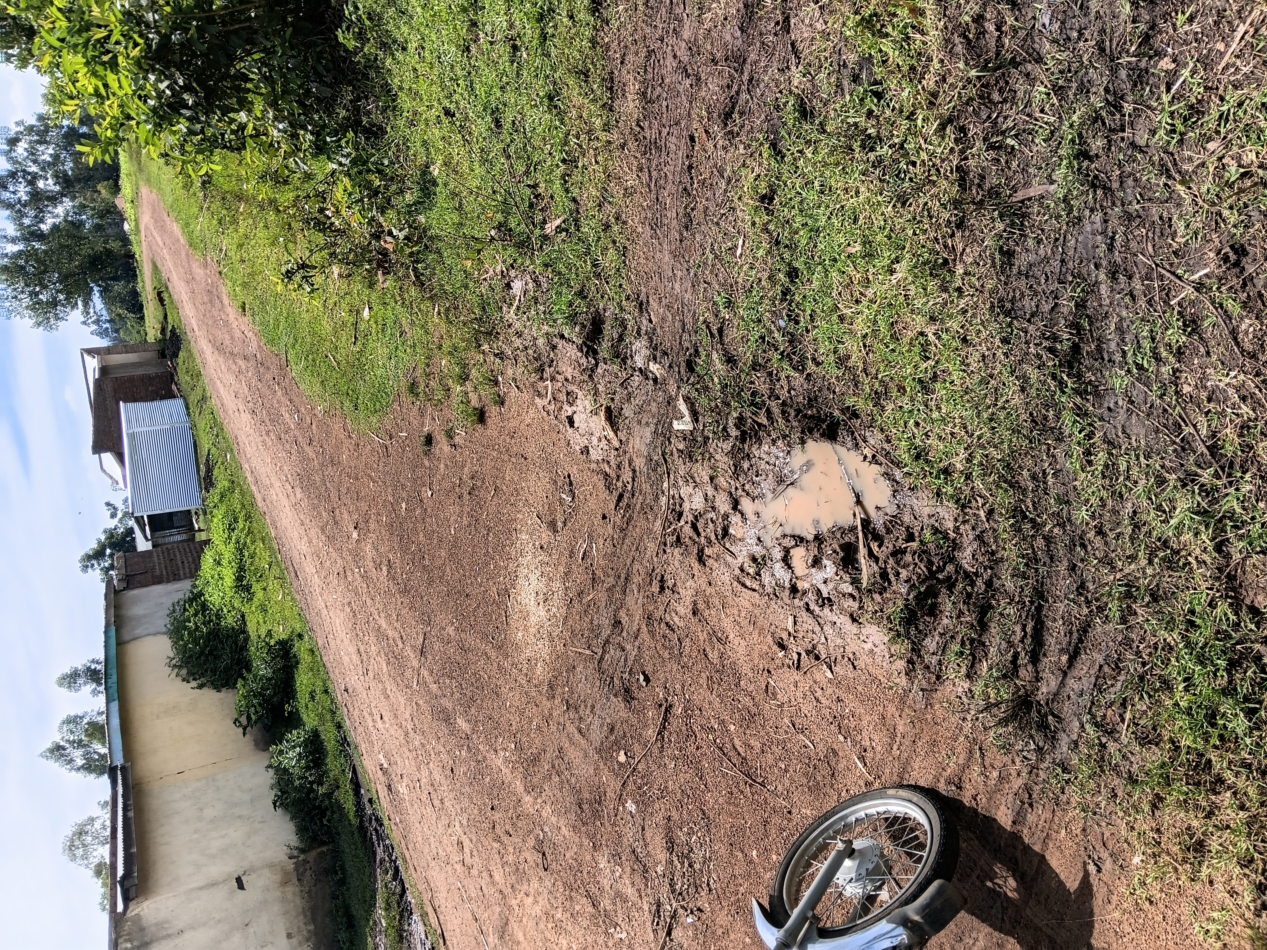 Proposed opening and maitenance of Warawara Maranga Wiyetek road