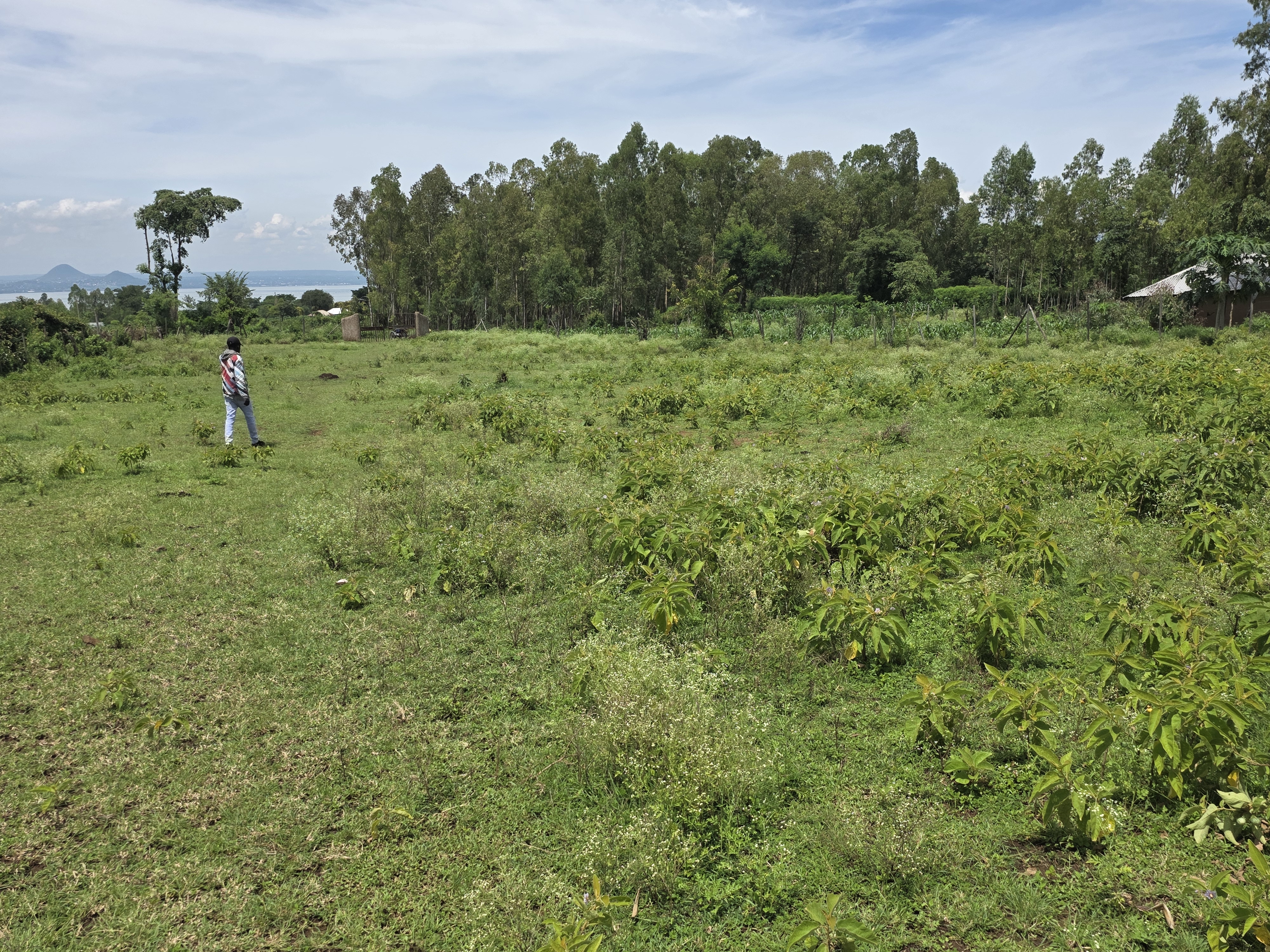 CONSTRUCTION OF A TWIN WORKSHOP HOUSE AT ALUM VTC
