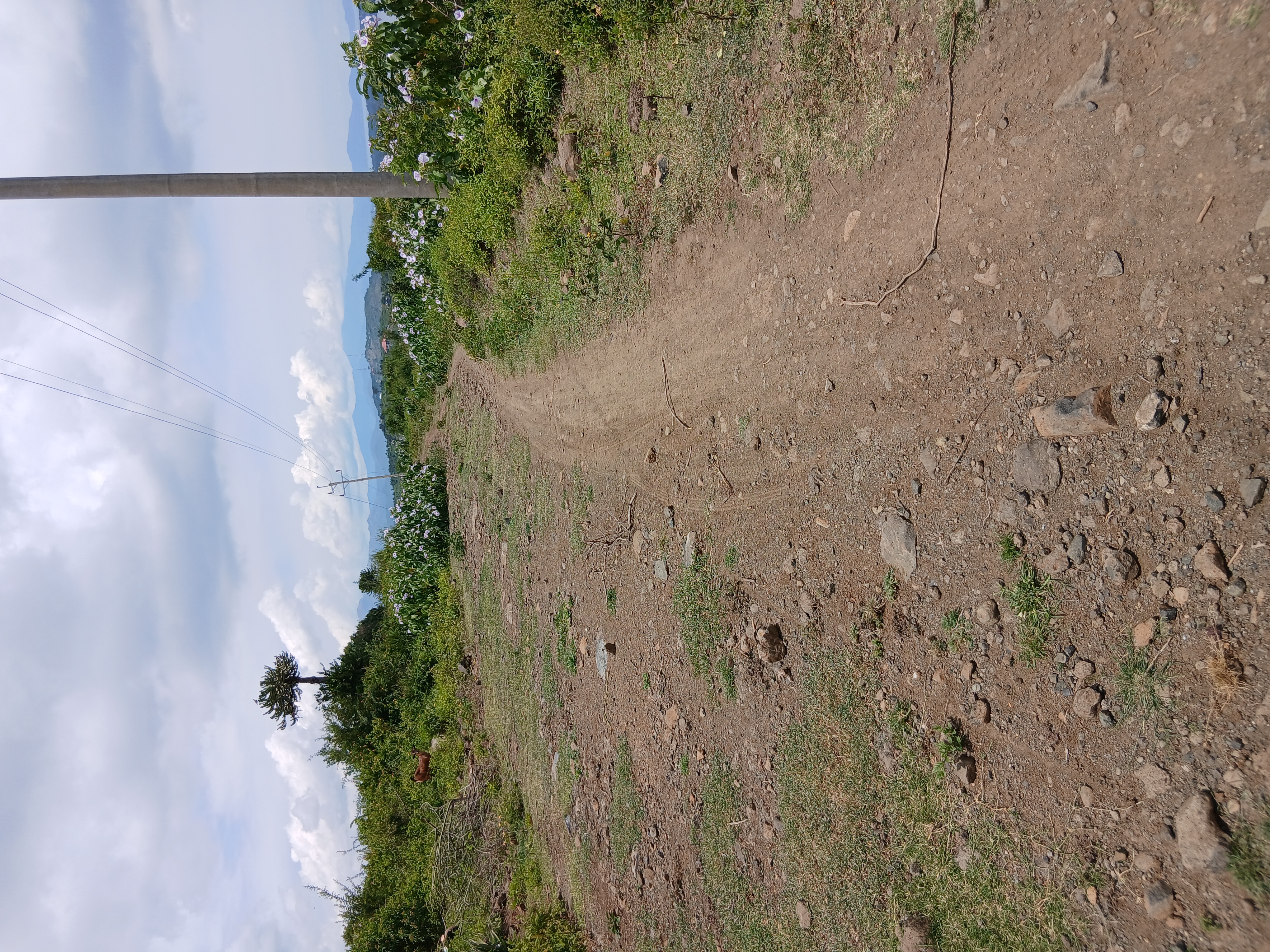 Utajo - Kogalo beach access road