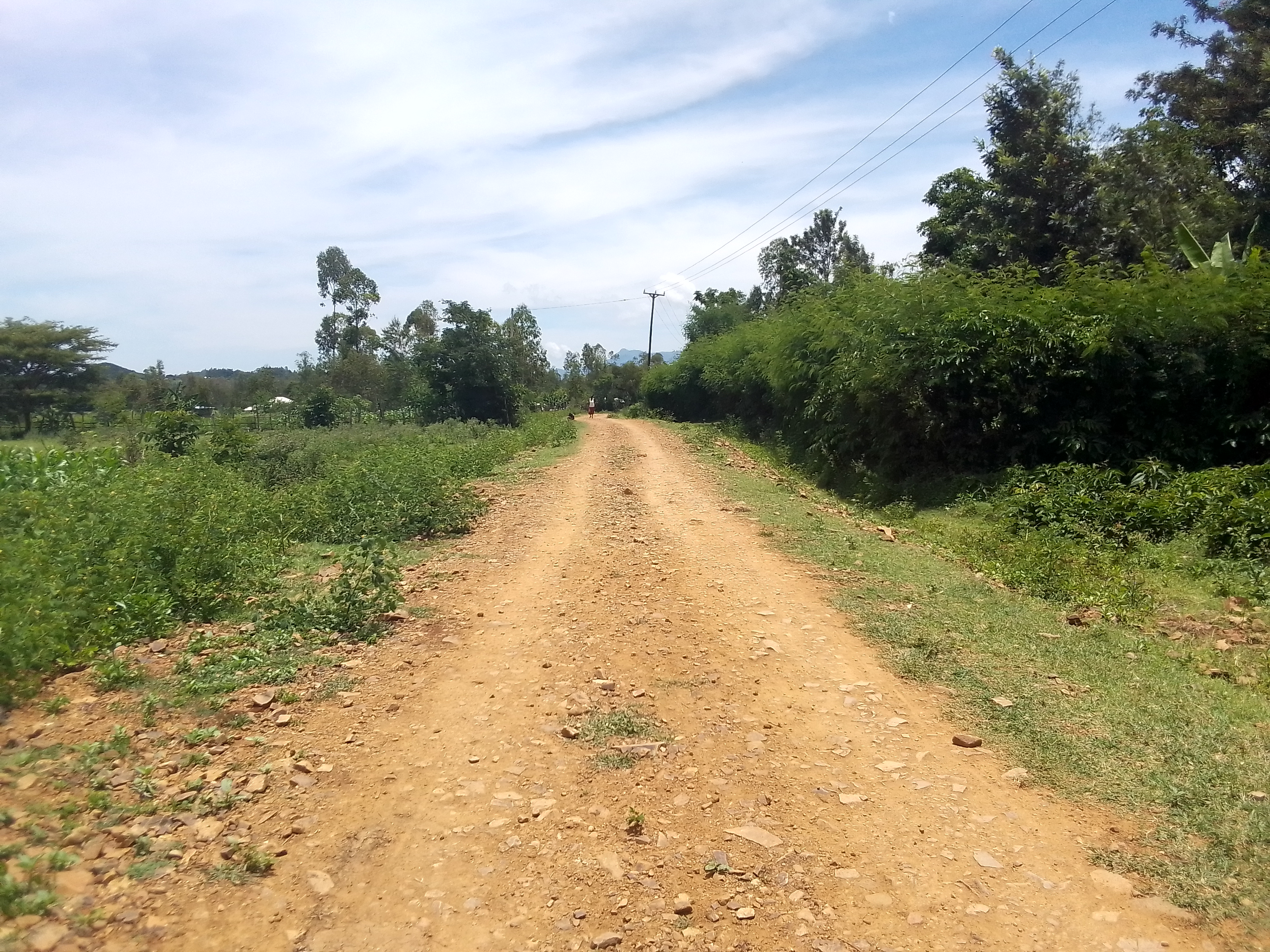 Opening, grading, gravelling and culverting of kojuok- kasarani Road