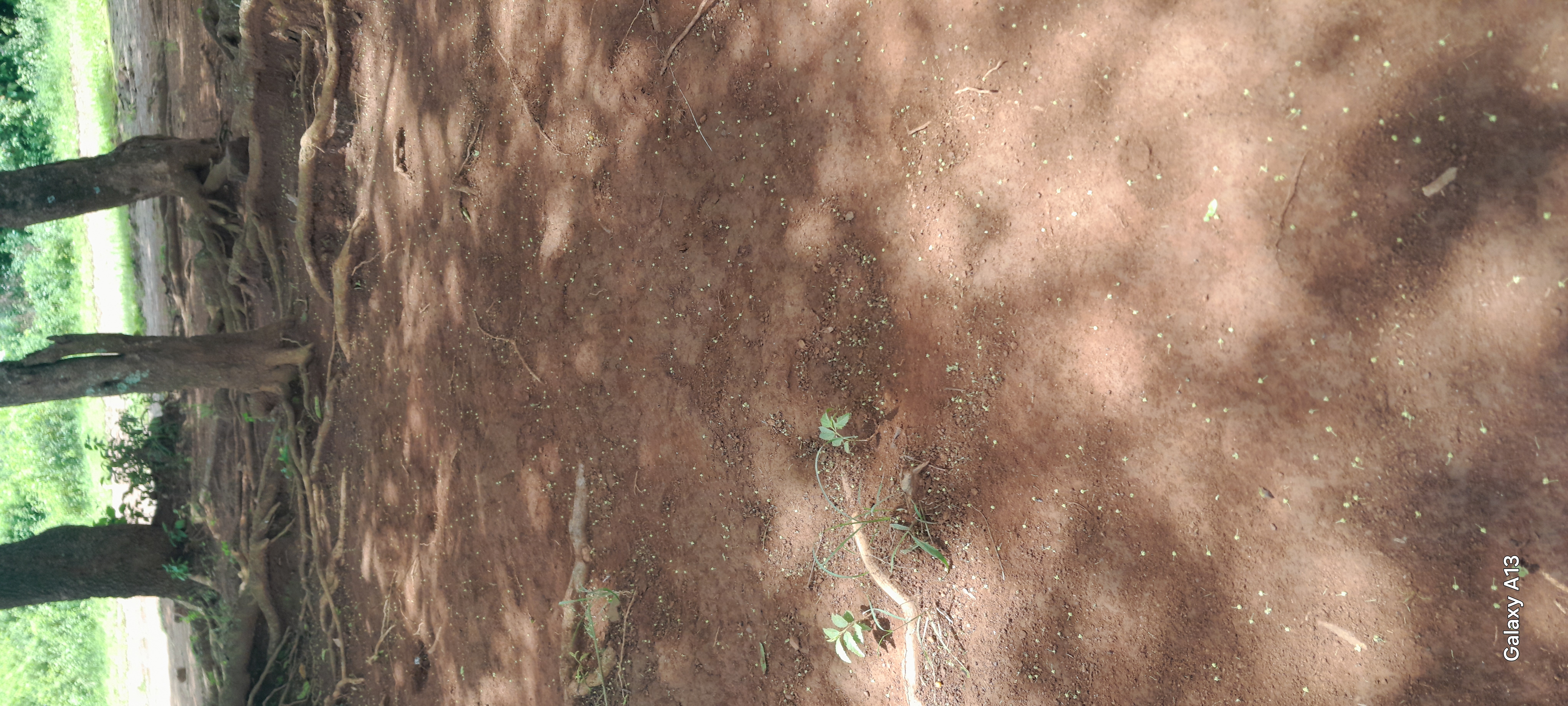 Fencing of Adek Unga dispensary