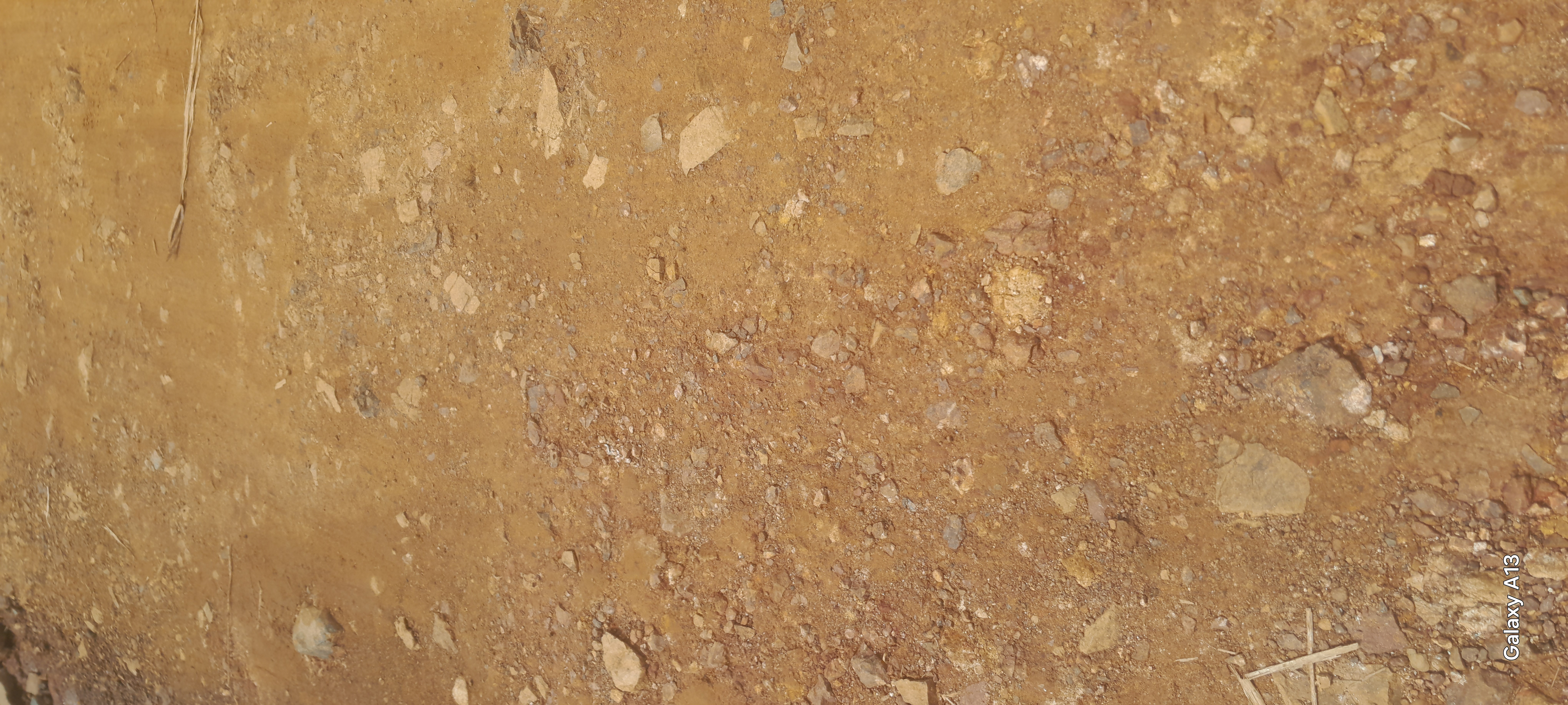 Ndege Lojala-Odaso koduogo