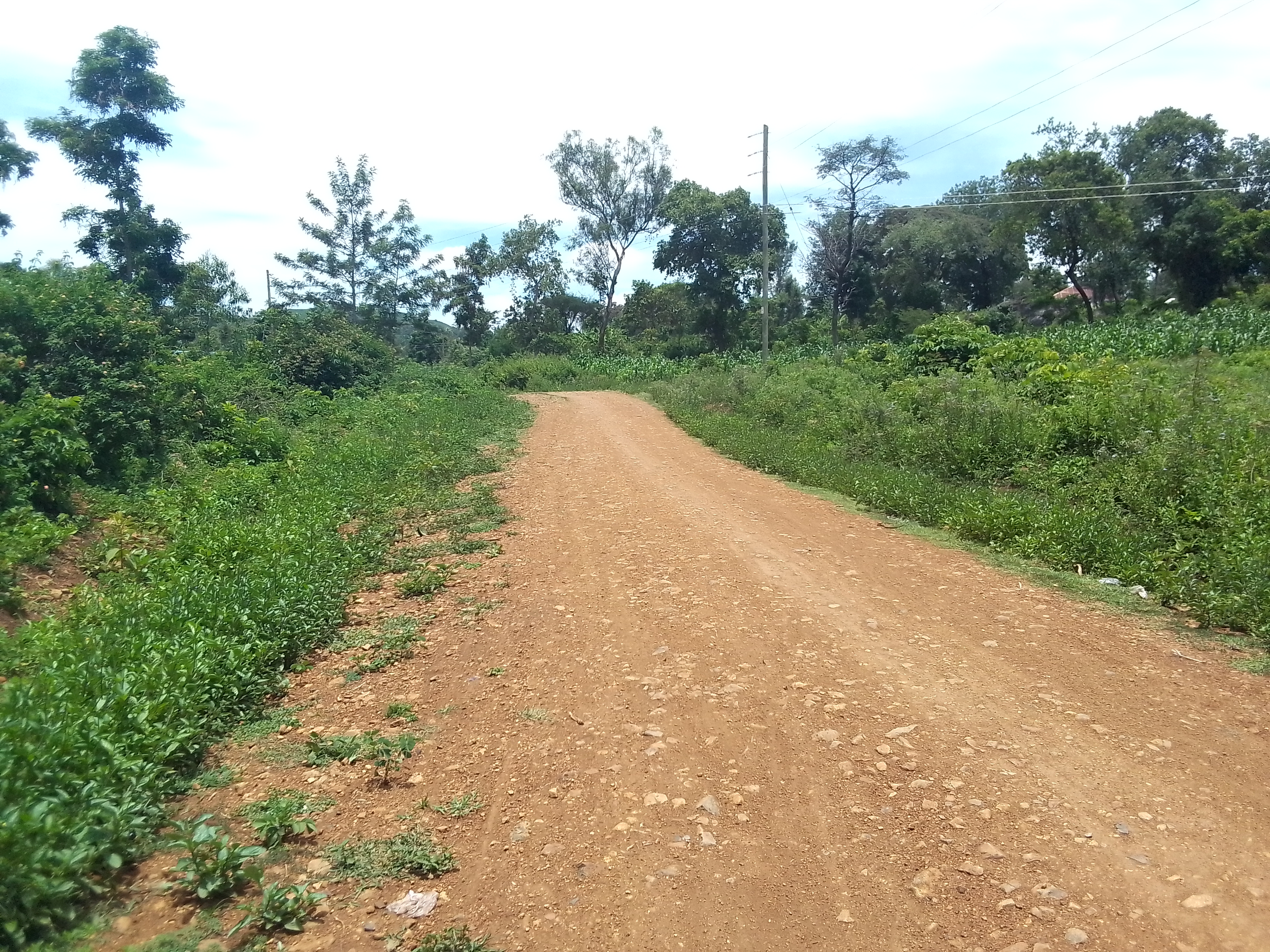 Proposed maintenance of Ogumo- Westgate road