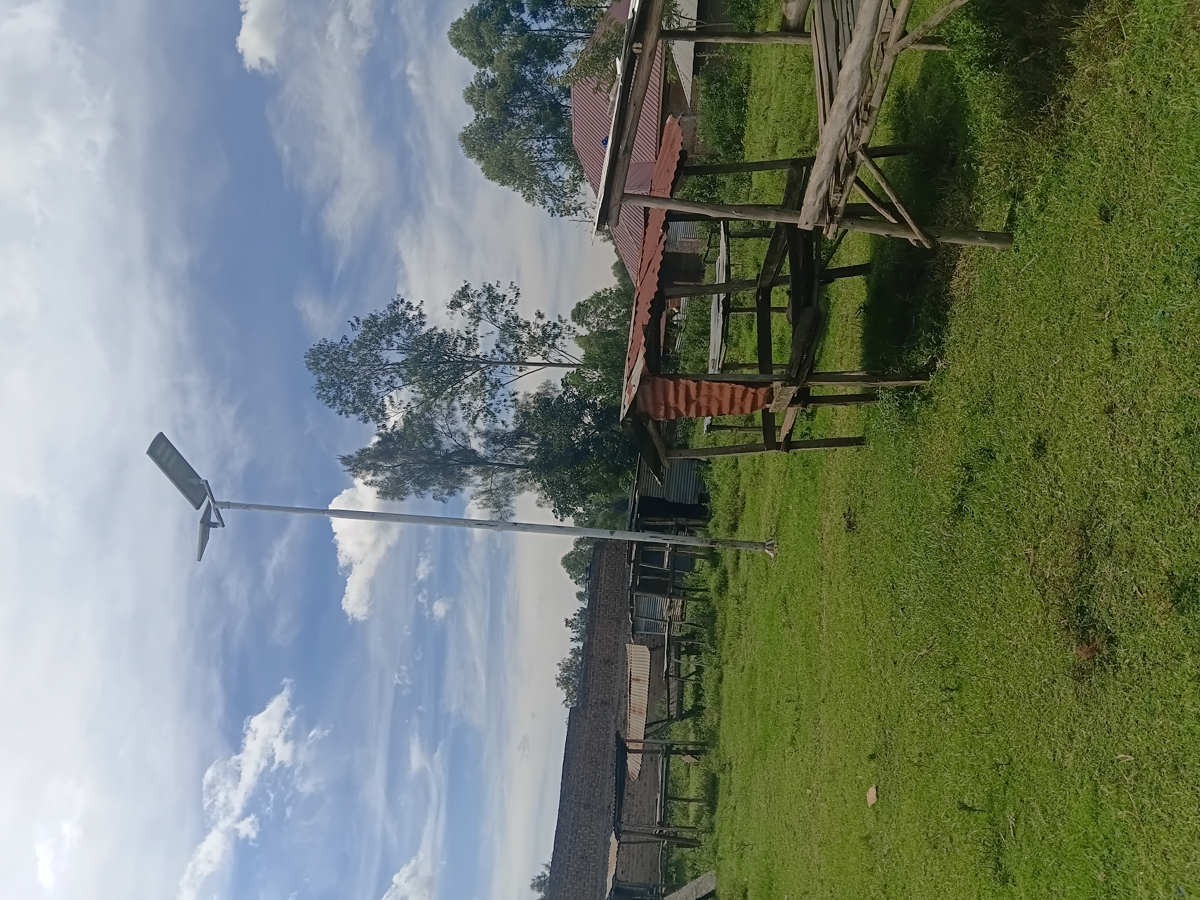 Magina market solar light