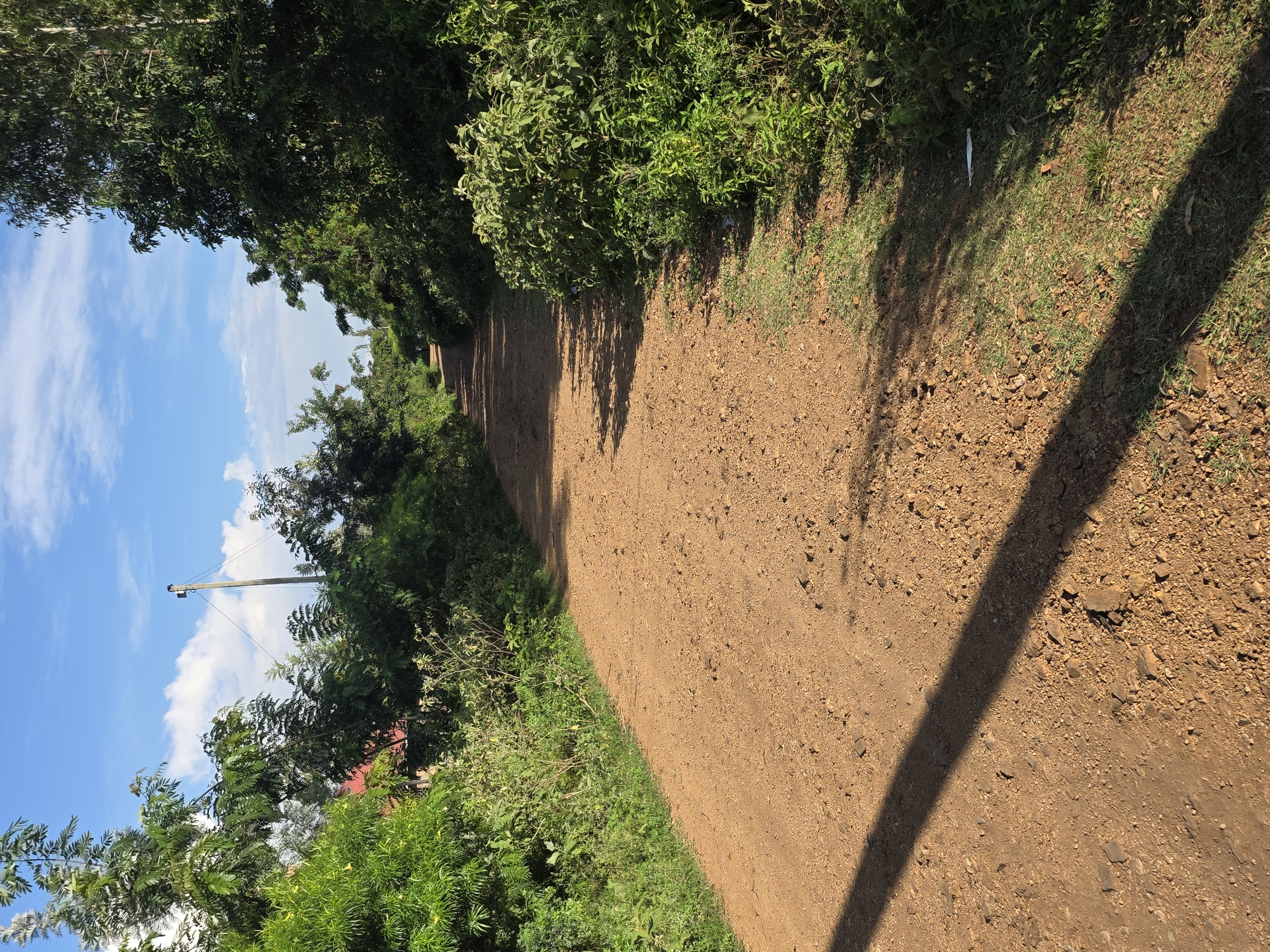 PROPOSED OPENING, GRADING, GRAVELLING MURRAMING AND CULVERTING OF PALA - TINGA- NYAOGA JUNCTION ROAD