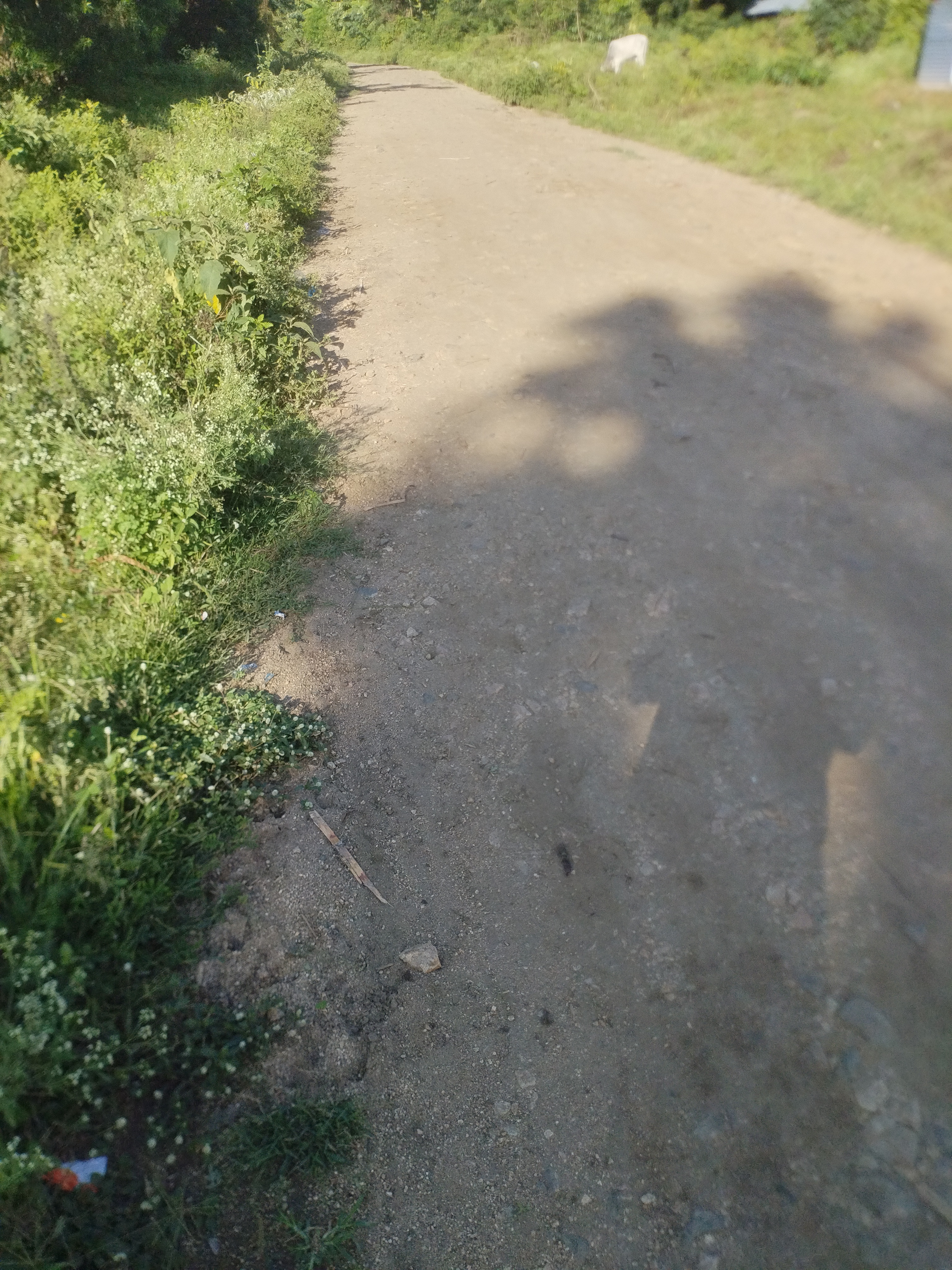 Ngeri-muriaro-Lutheran road