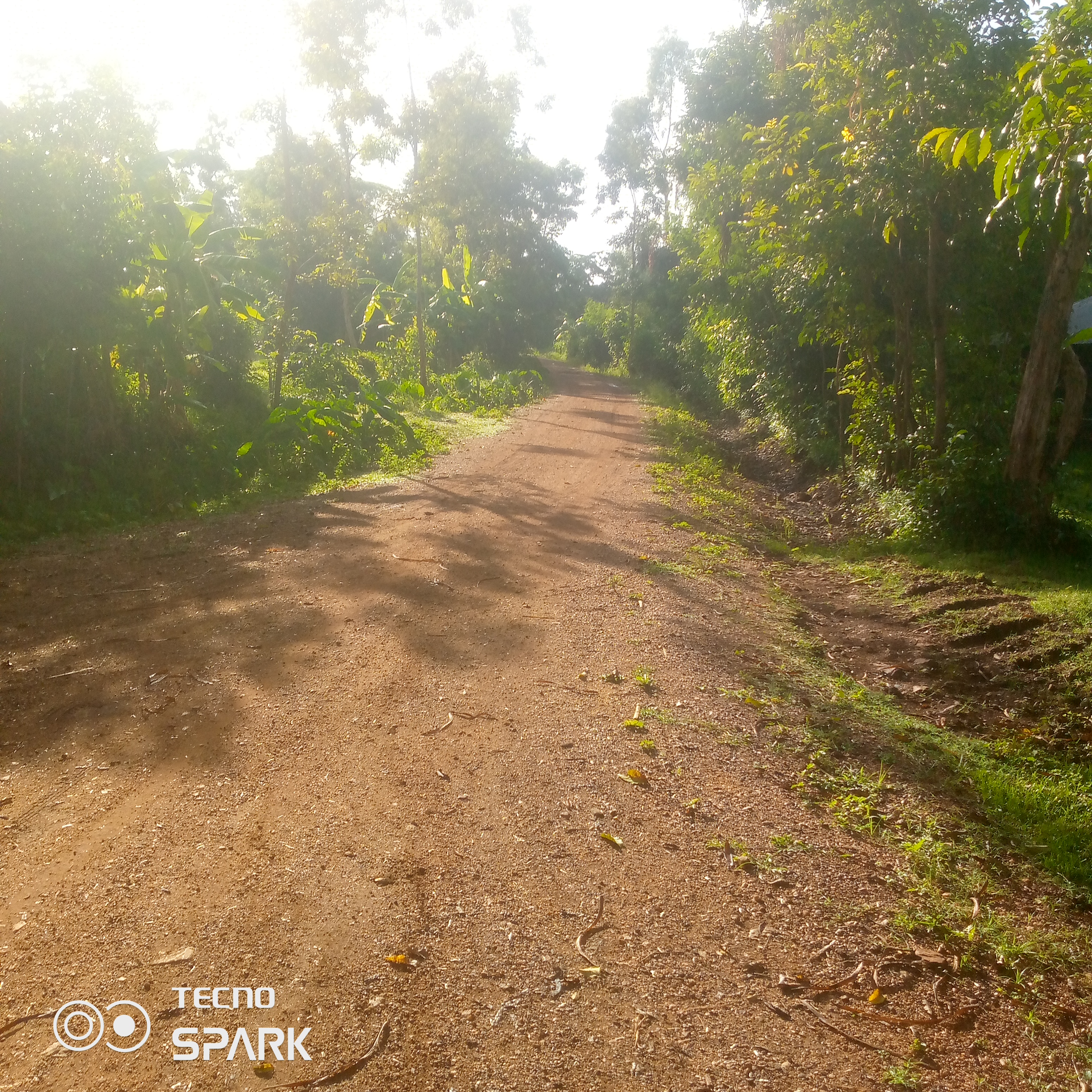 Ben osika -gem oremo