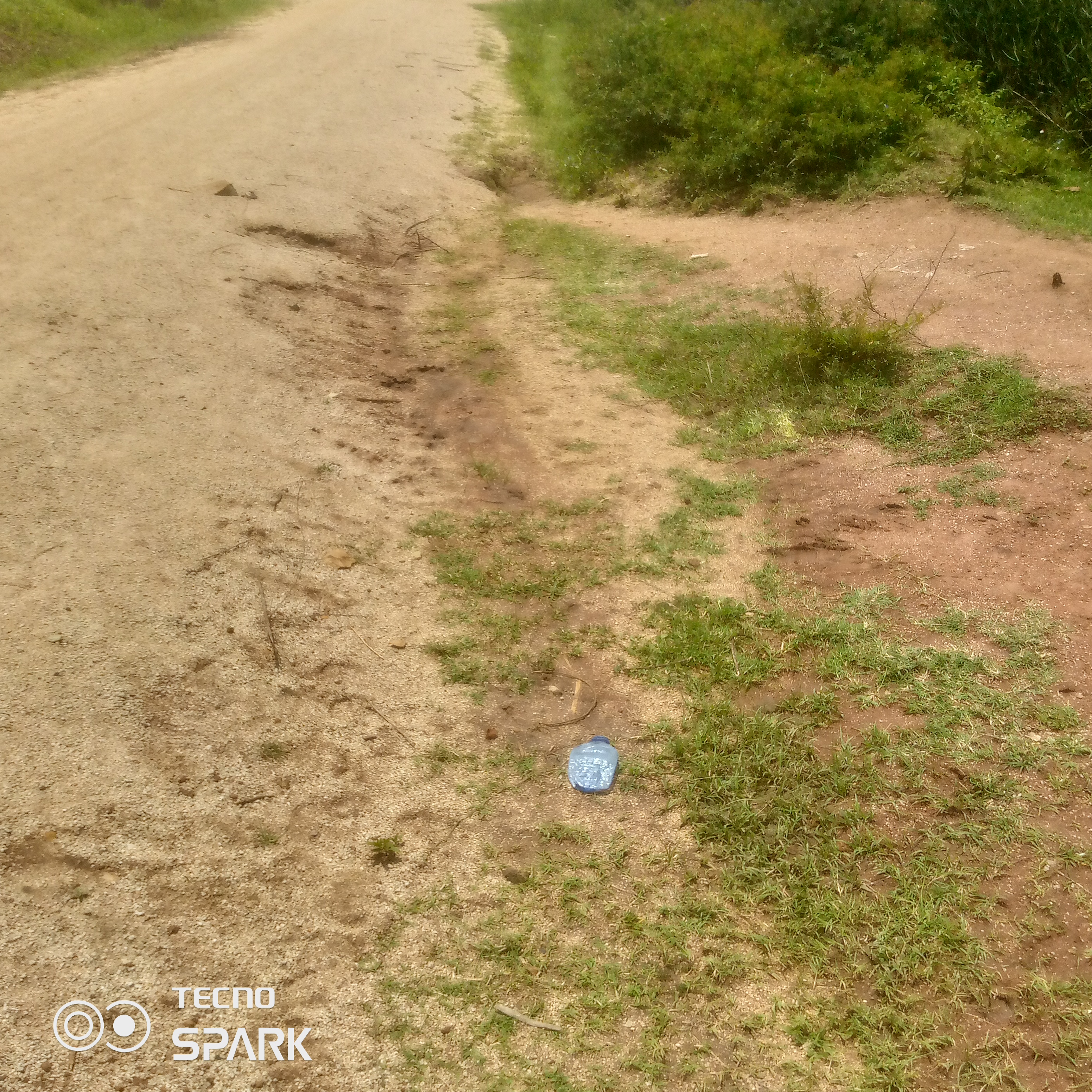 Obunga sda -bongia -alendu