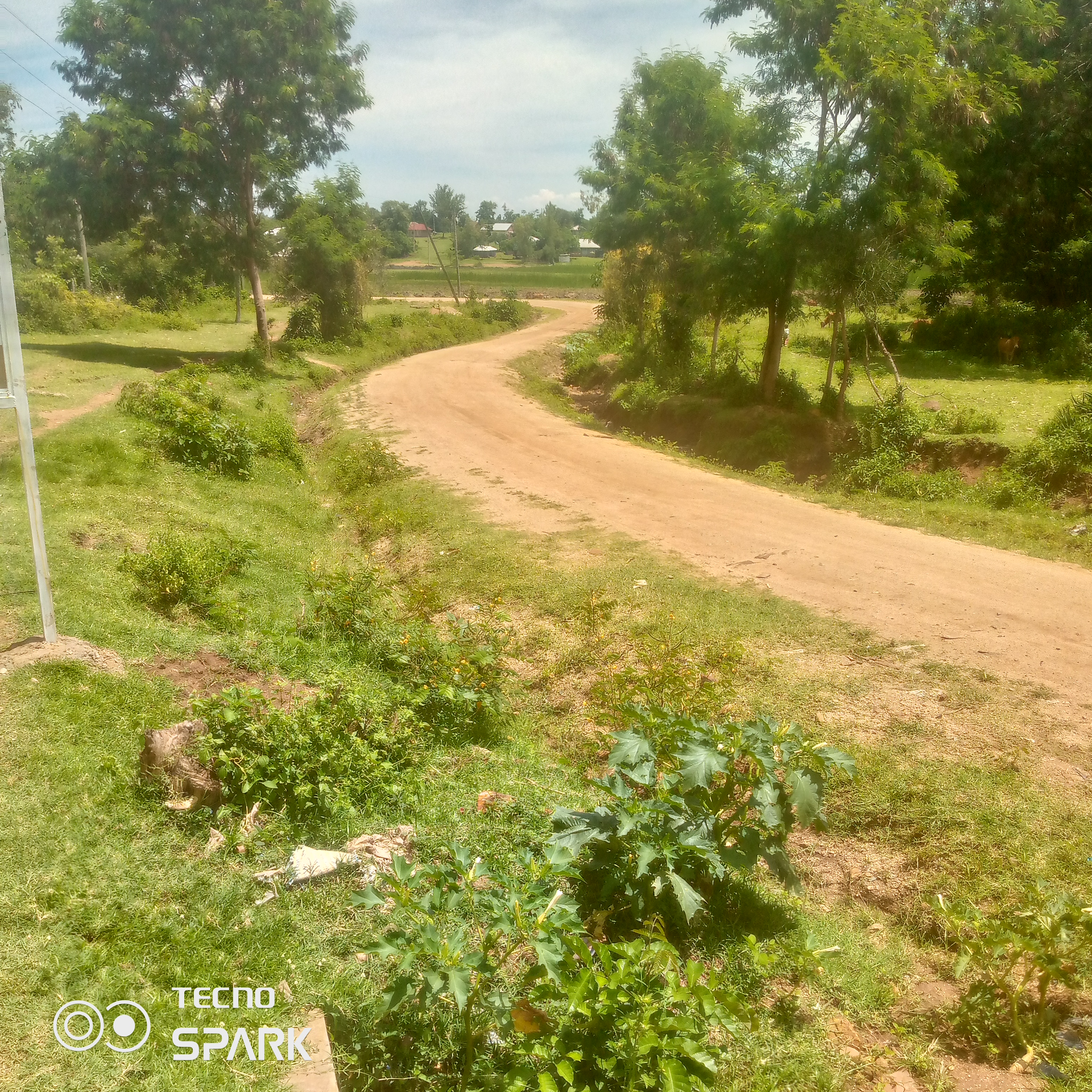 Orianga/otok-onjiny- koswani