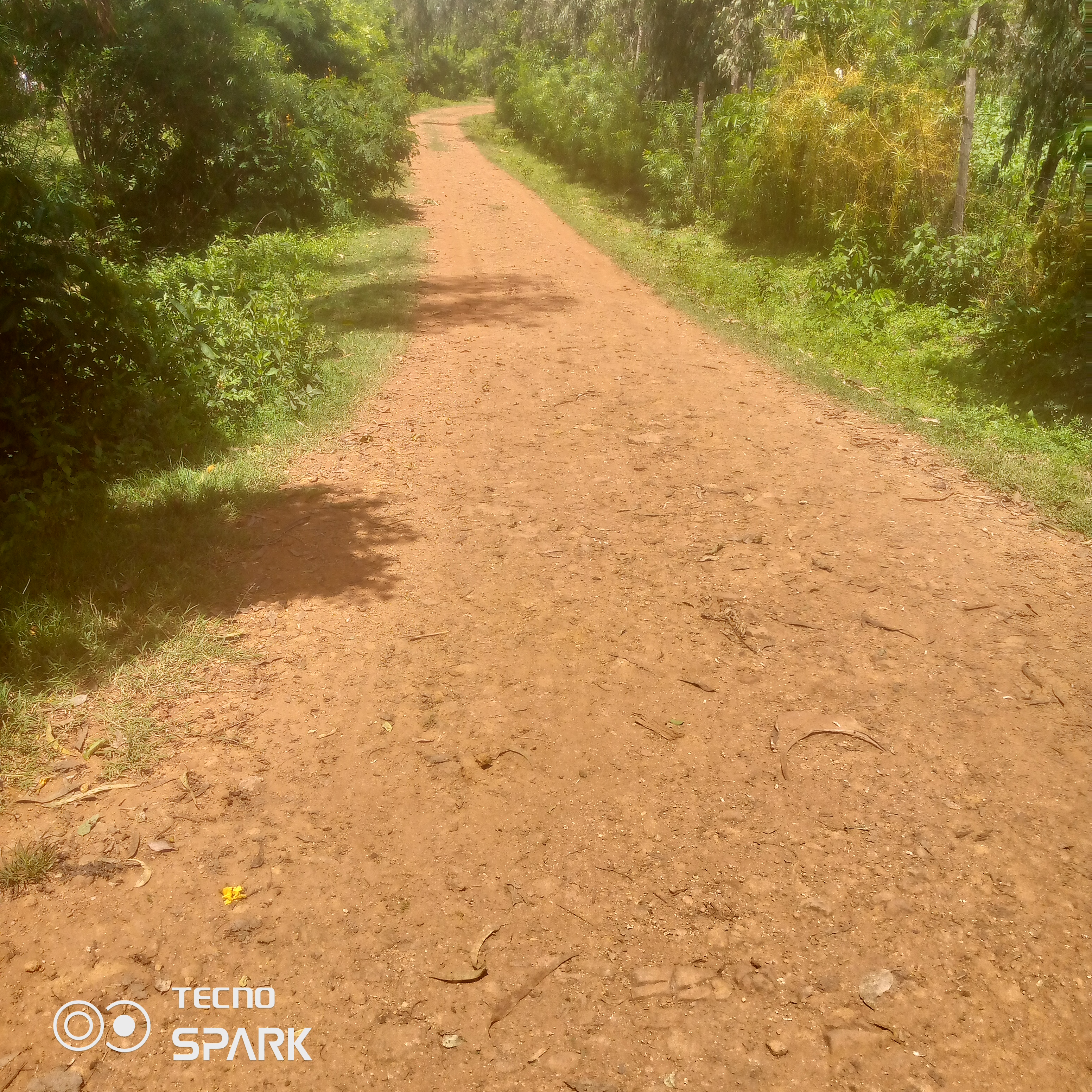 Oyuma-kadue -riwa rice farm road