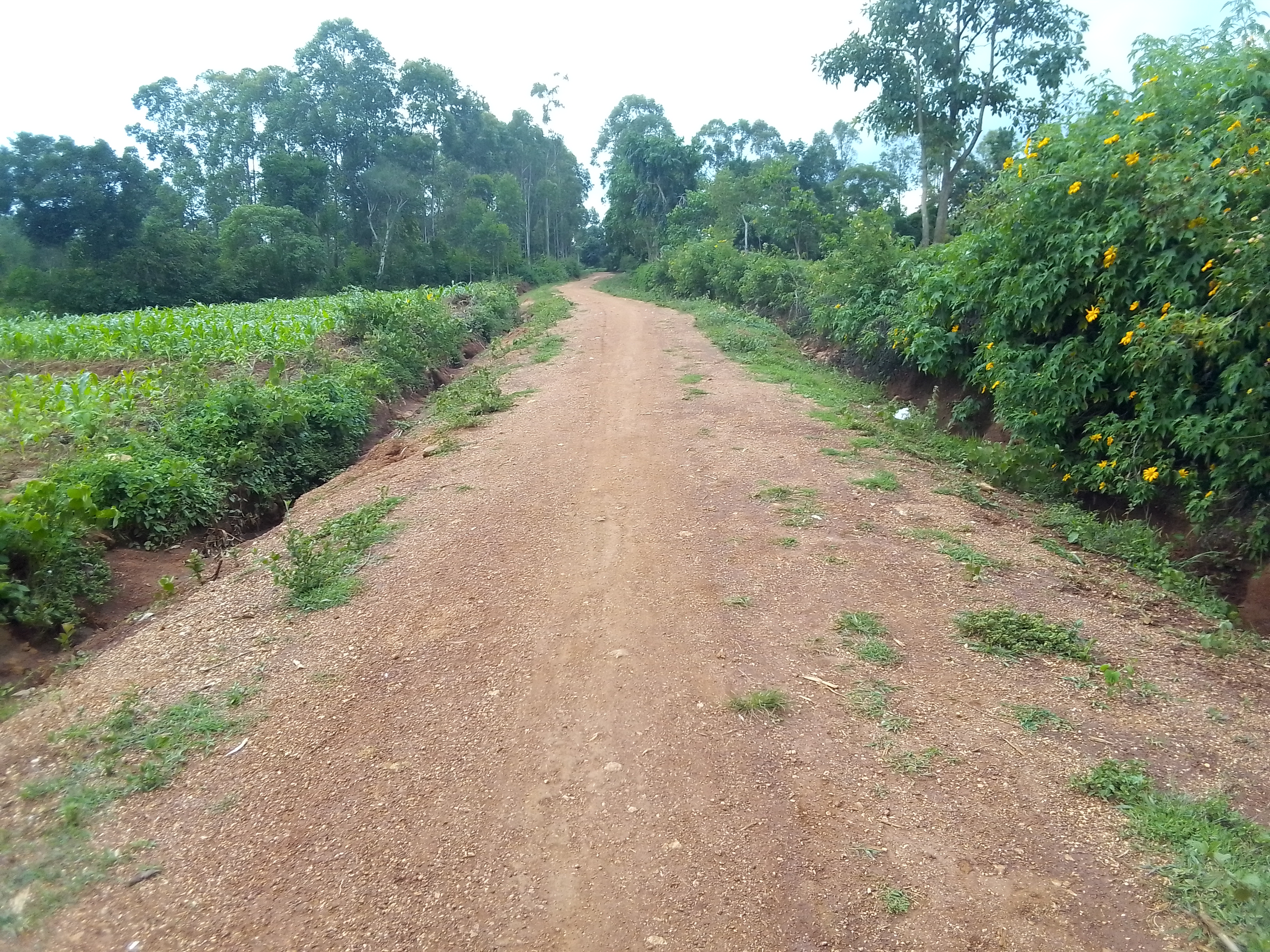 Wikoteng - Nyaundho Road