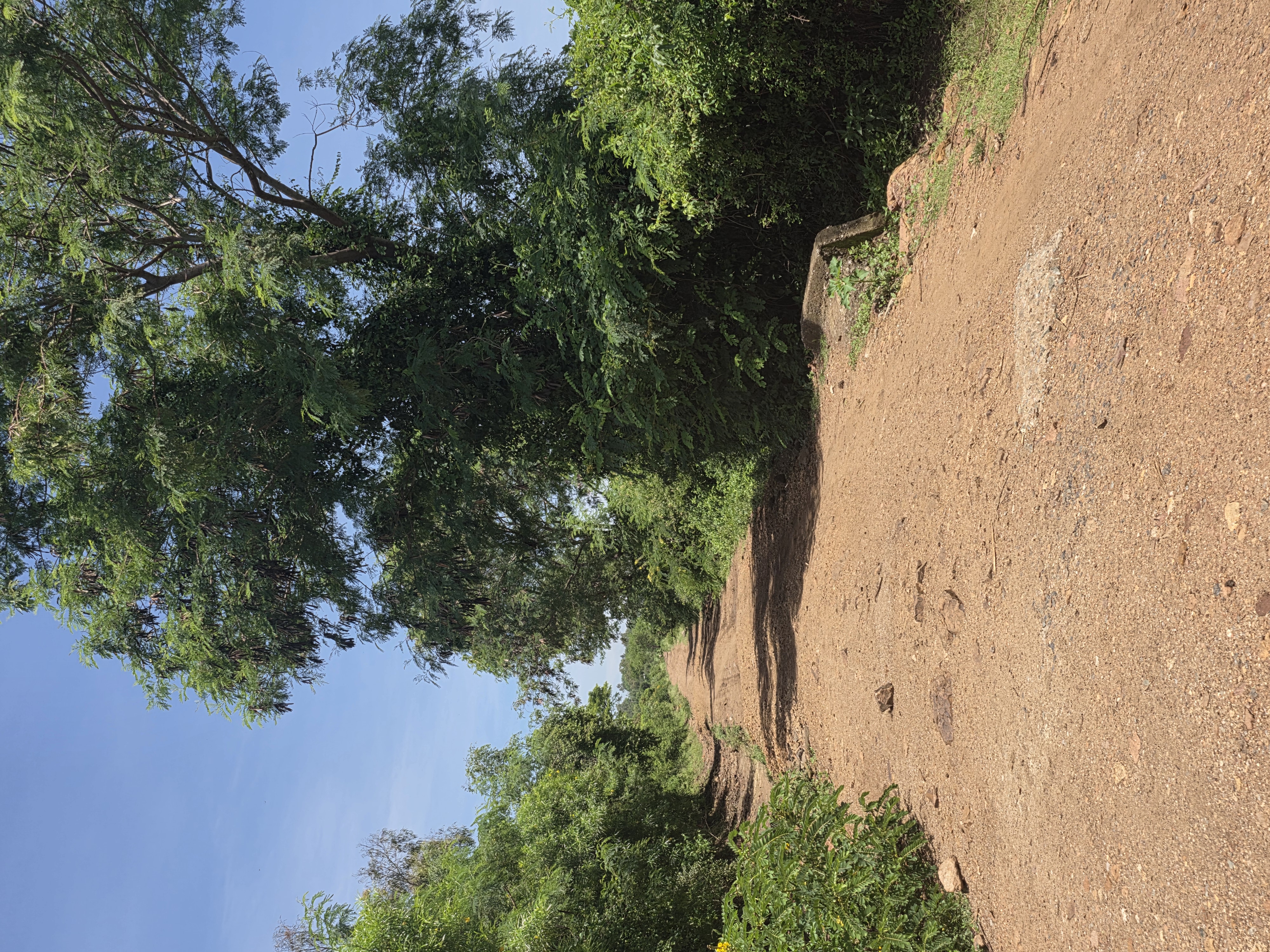 OPENING AND MAINTENANCE OF KOWITI-NGOLO-KOGWARI ROAD