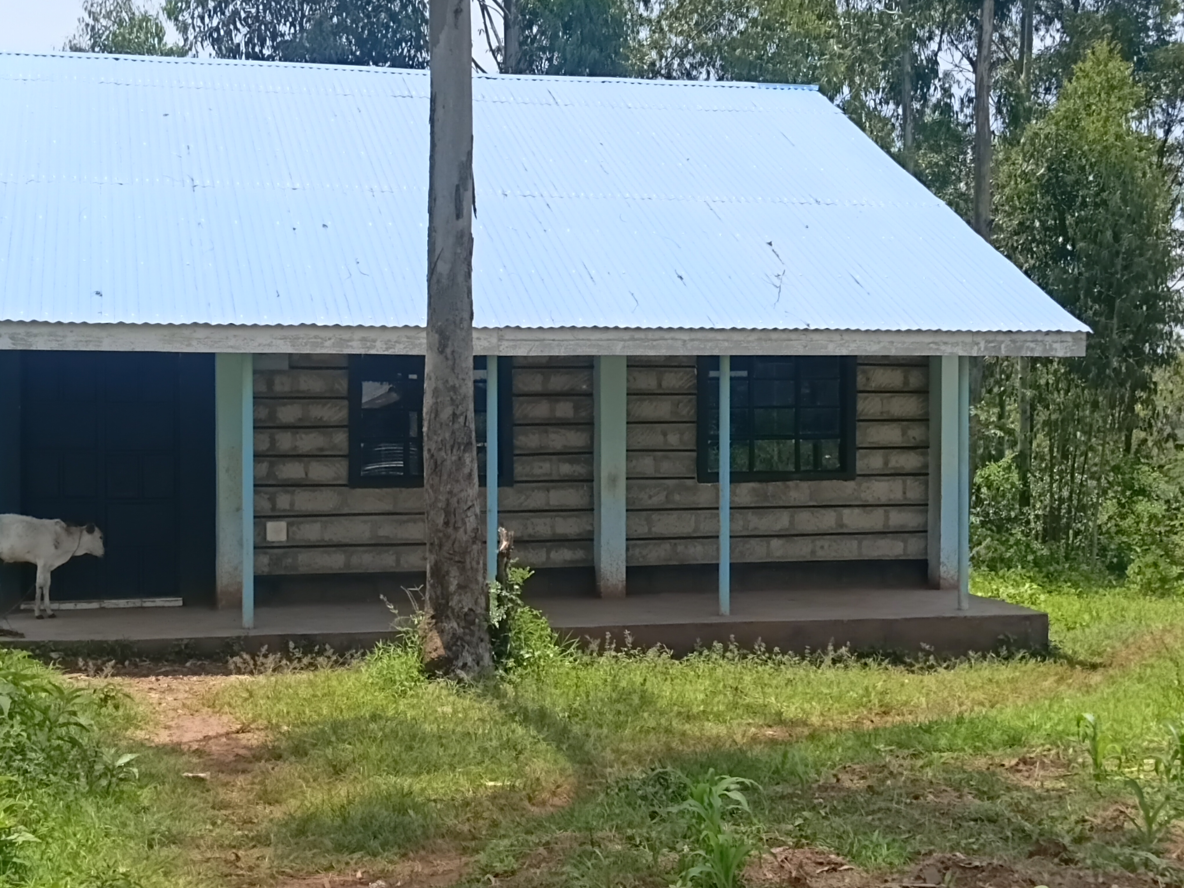 Agudo comprehensive school