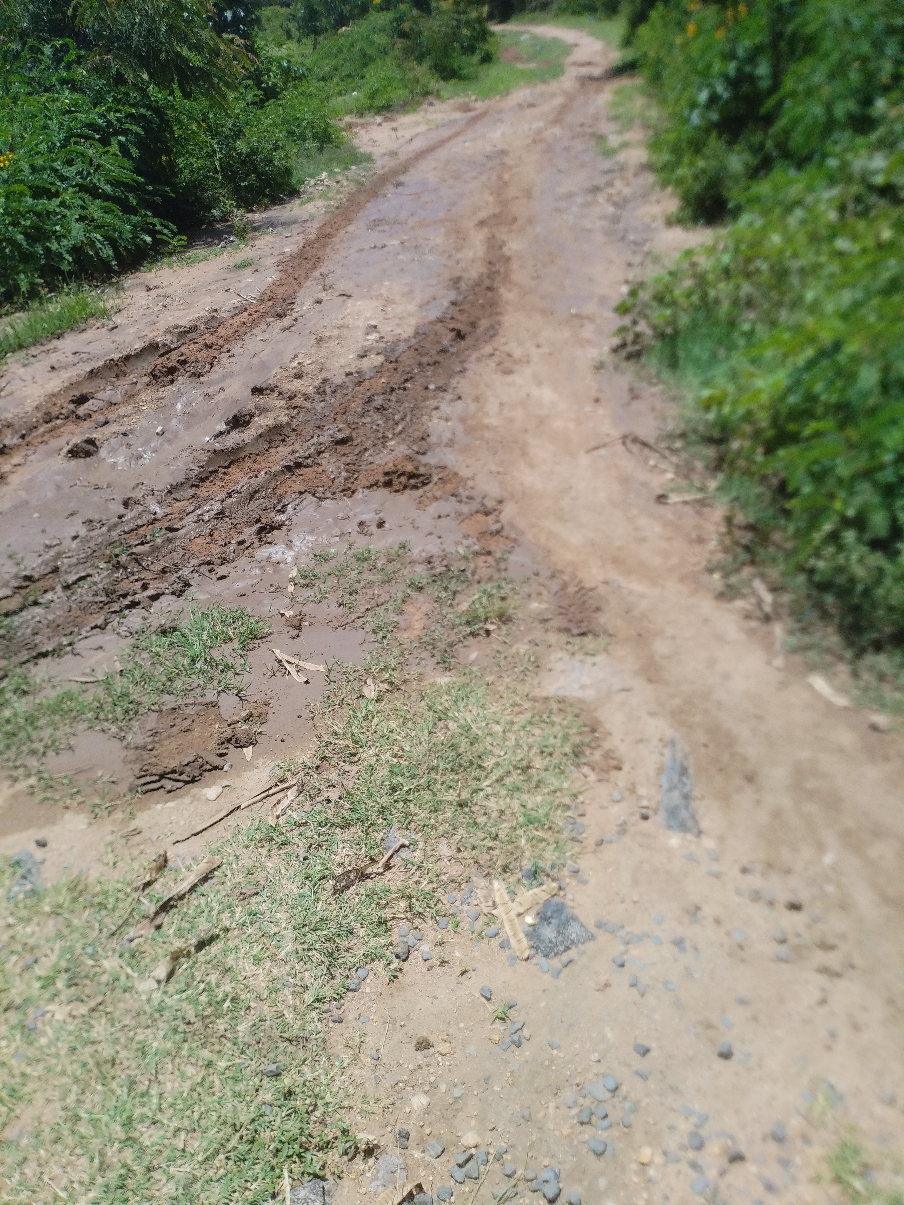 Bimos- Gingo-Kamaga- Gera road