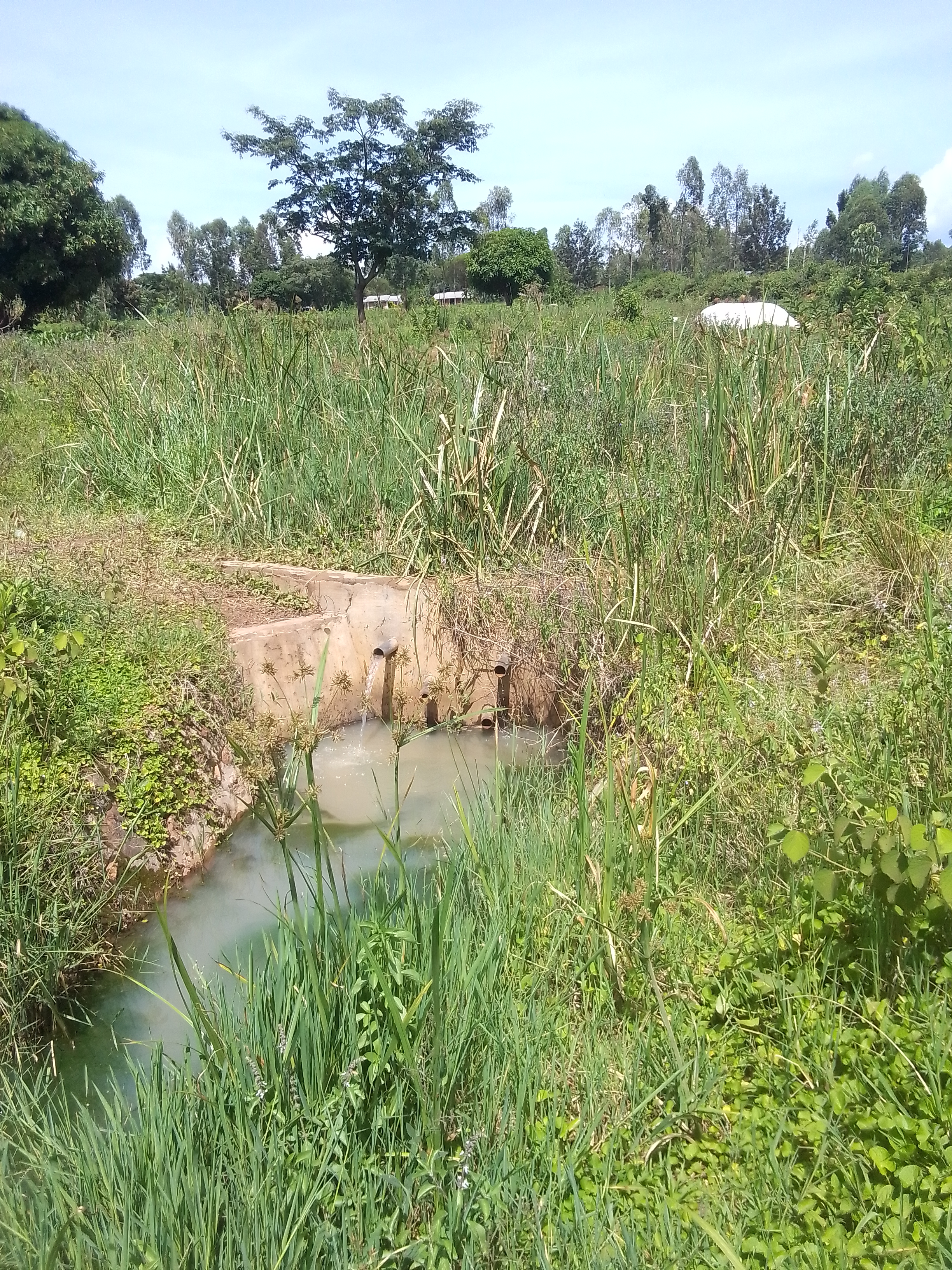 Omoche -Amenya- Soko Kodhong spring water