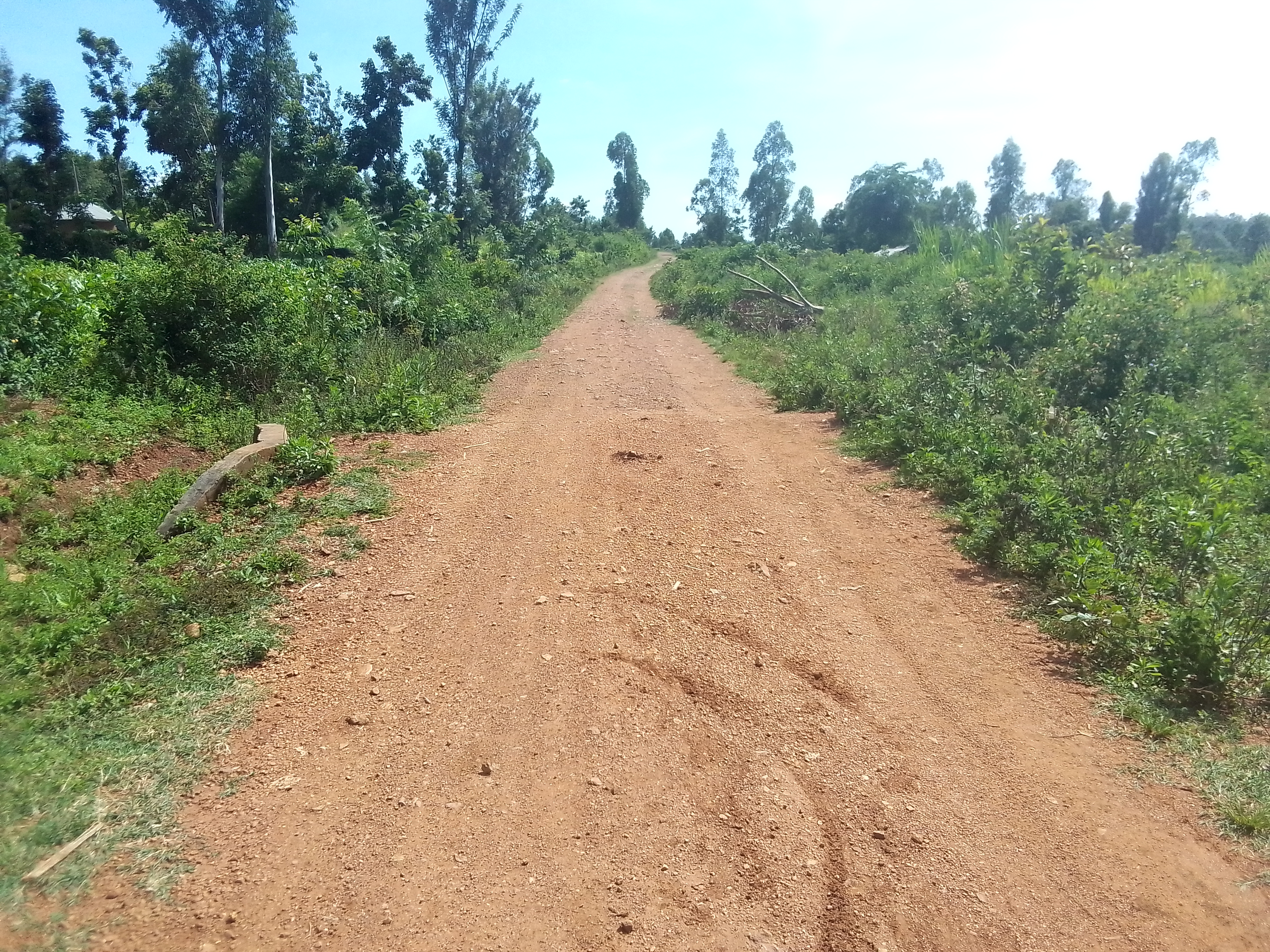 Nyambare- Rabango JNC Road