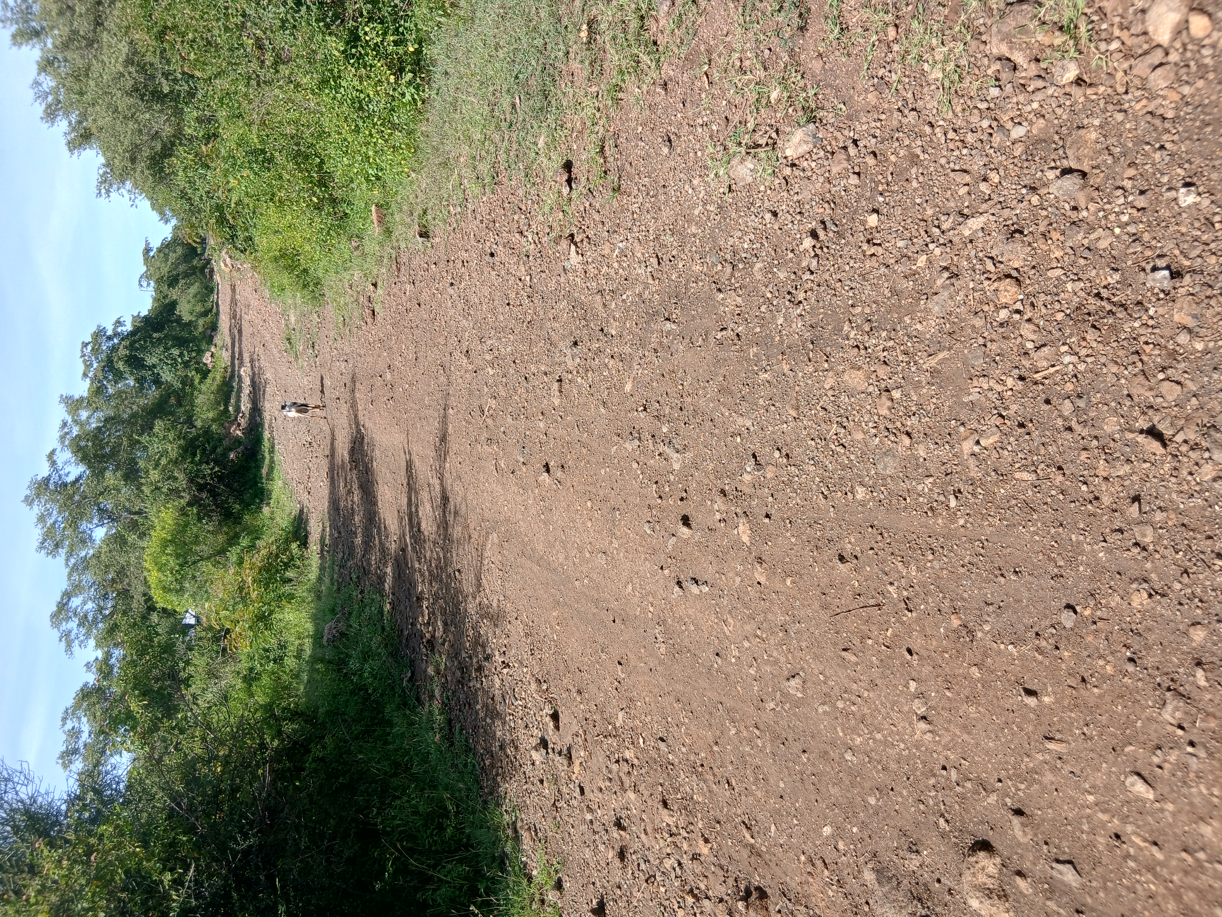 Otieno Kajwang - Wahiga road
