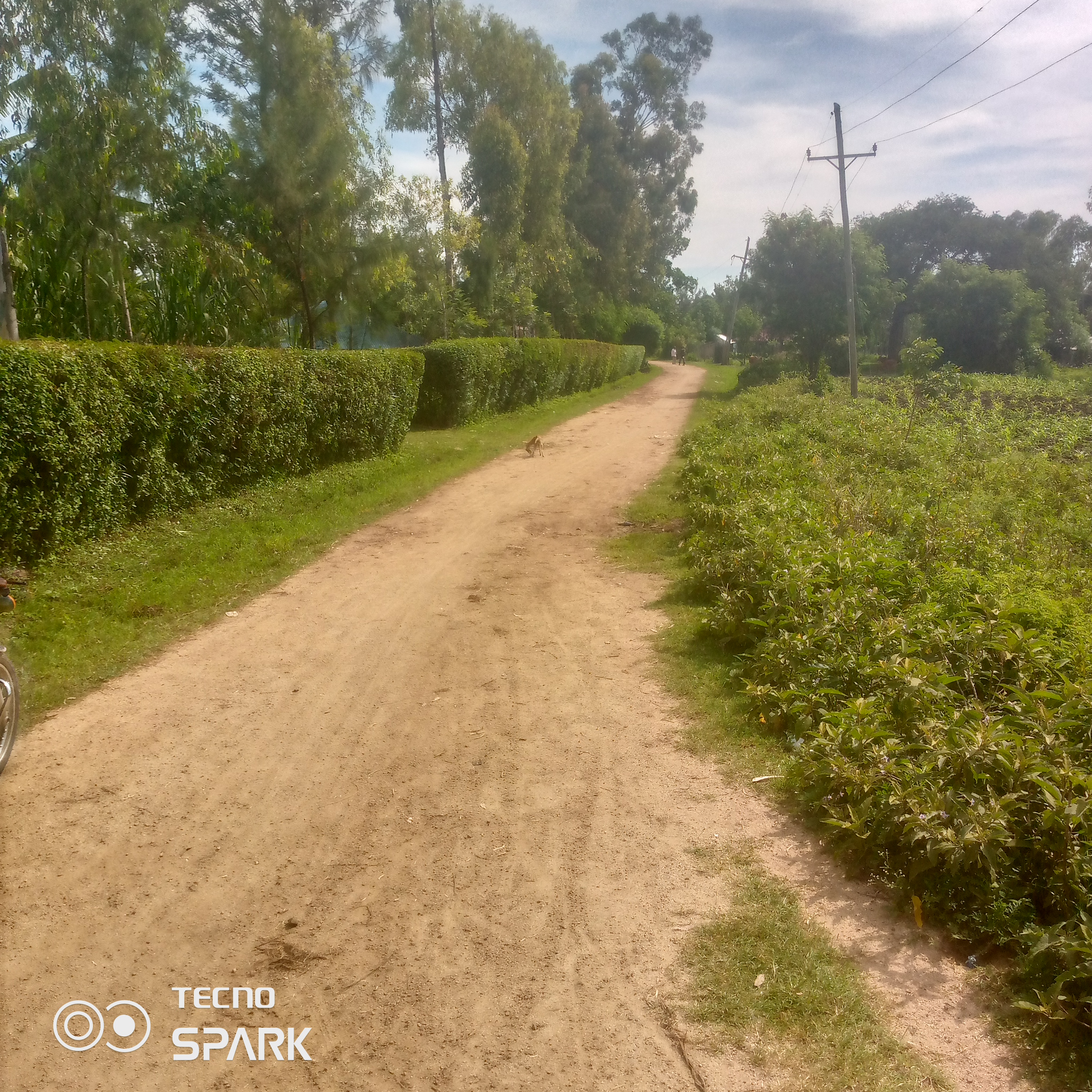 Routine maintenance of kangir-kosore road