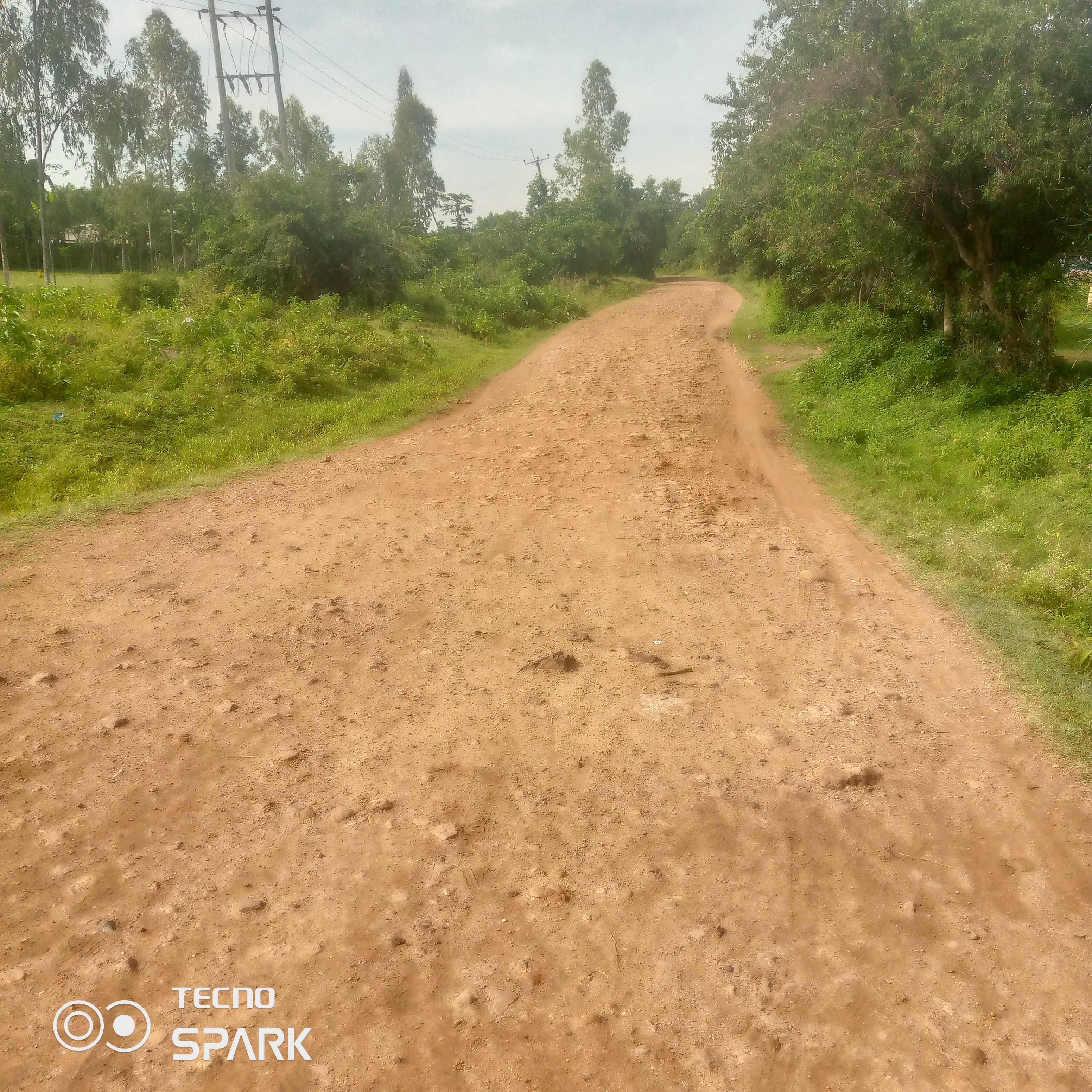Namba ngeta- otero road