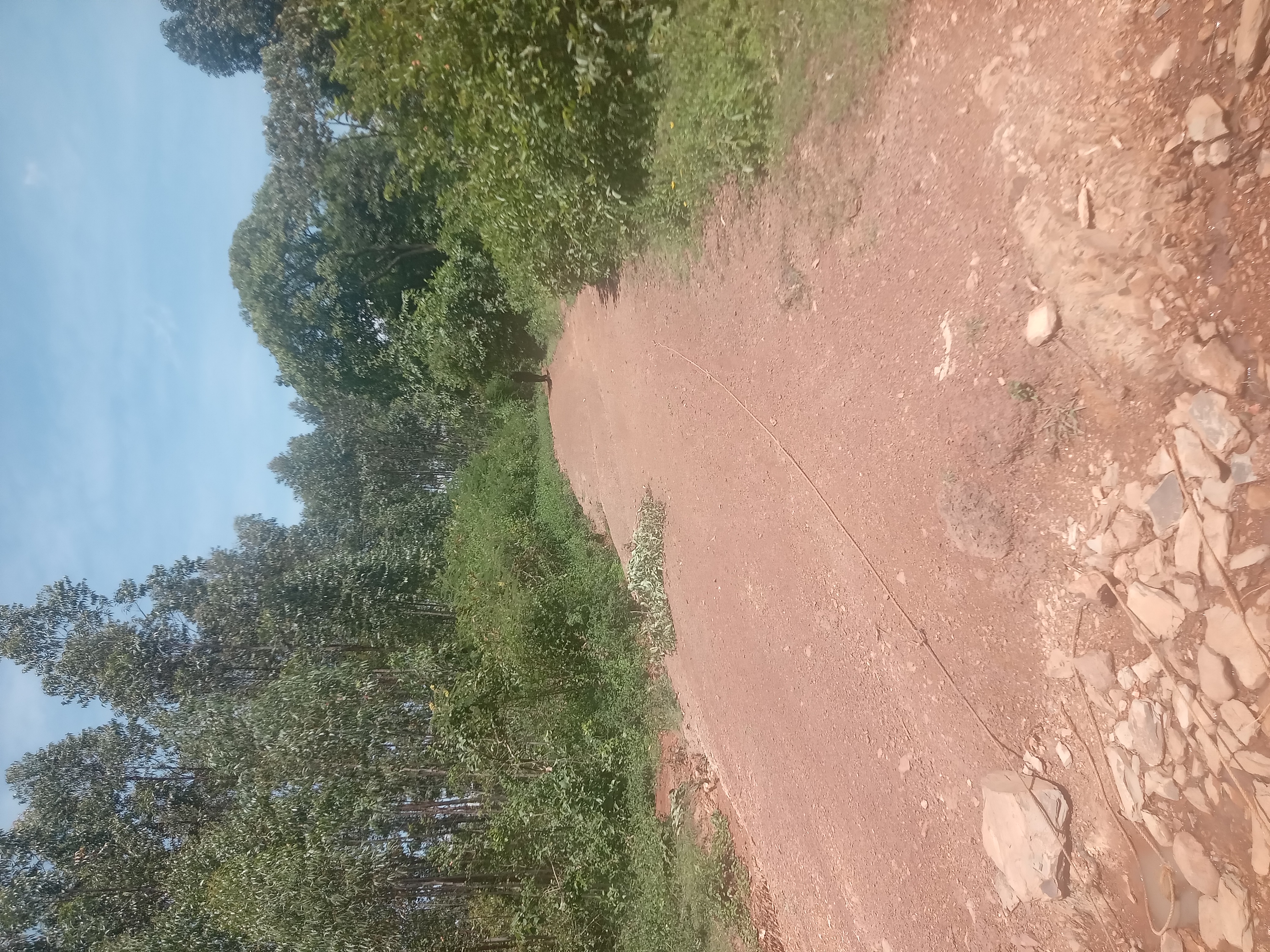 Awach- Nyabondo Road