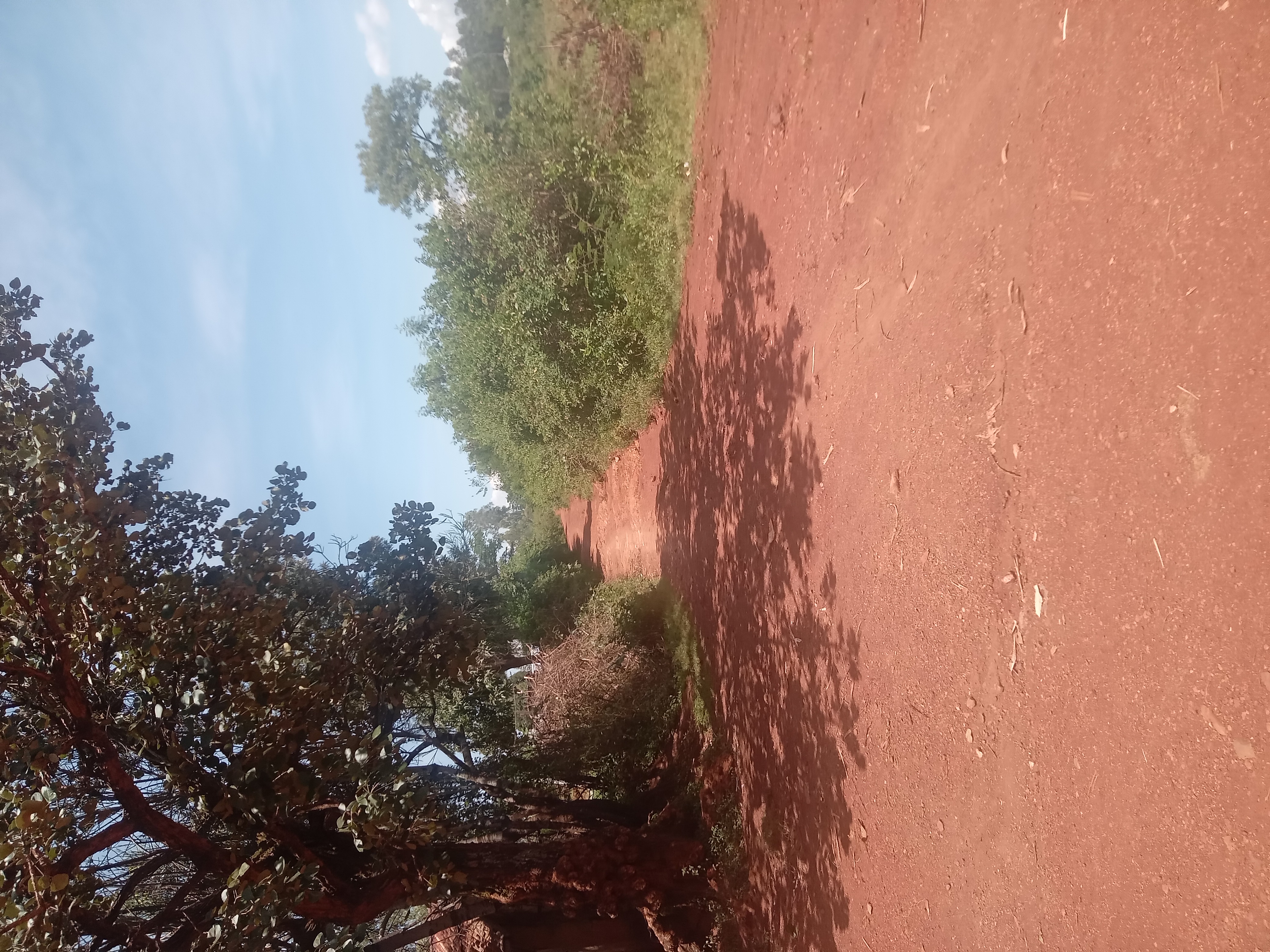 Bongu Nyasire- Omiro-Riat