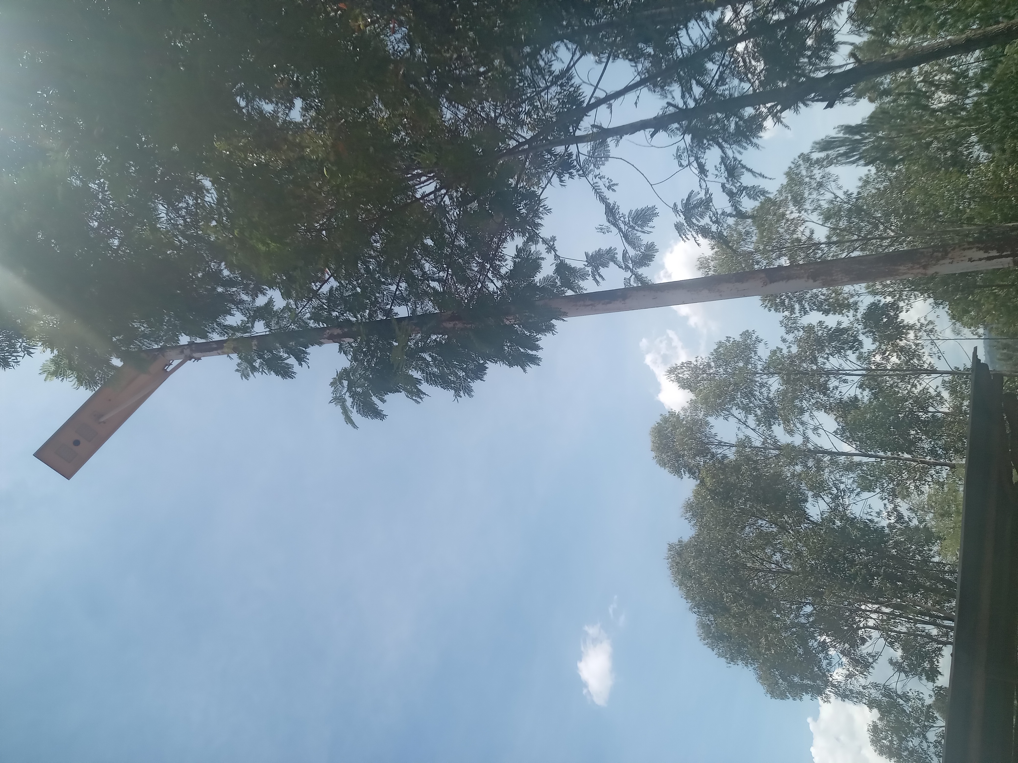 Bong Nyasire Market Solar light.