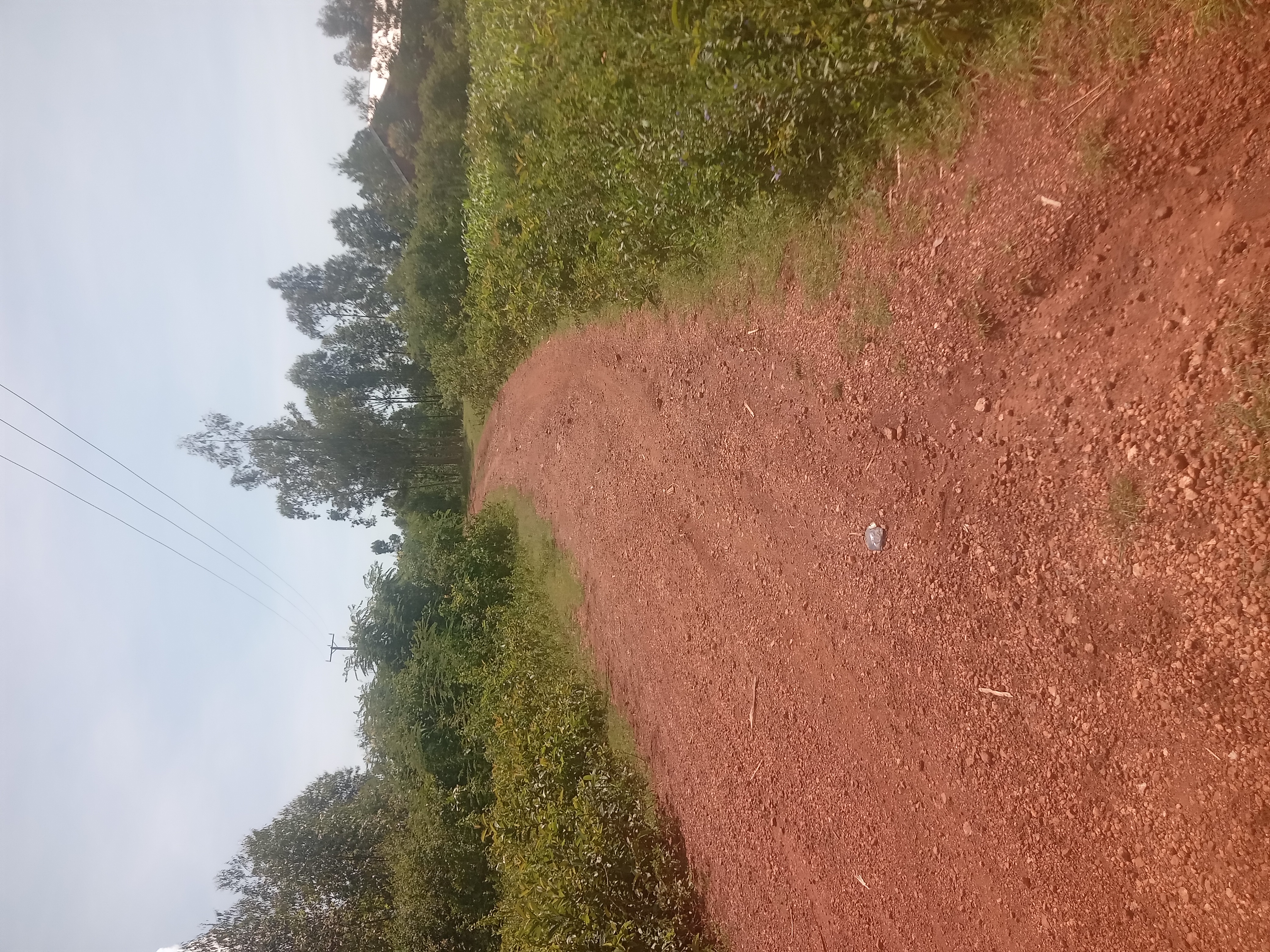 Omiro Technical- Riwo Road