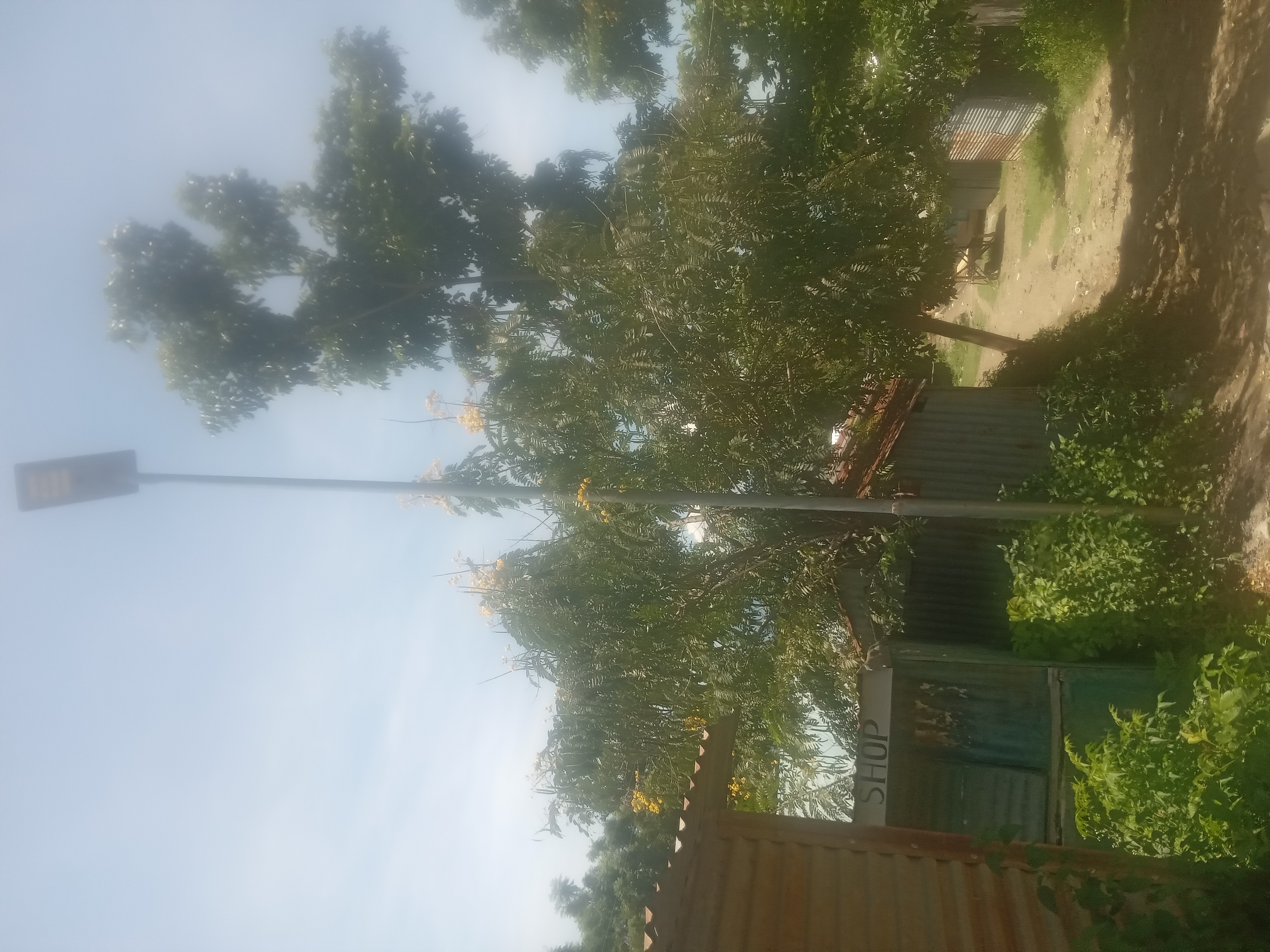 Kitawi Solar Light