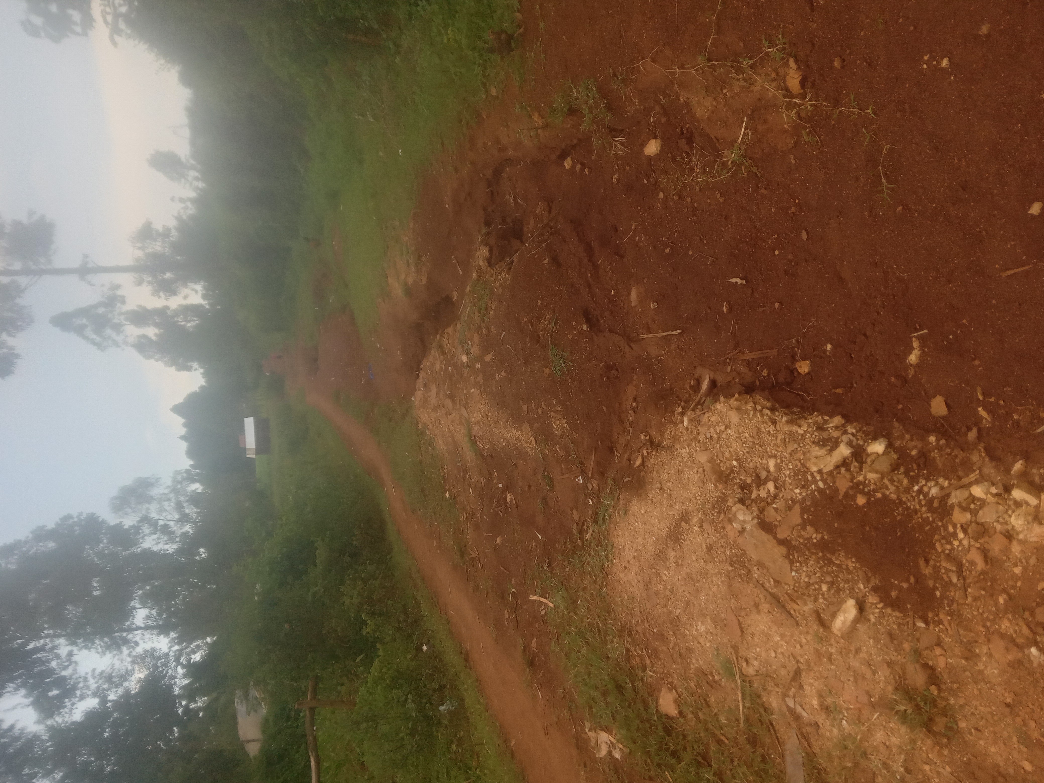 WANGAPALA KOLIELO-MISIDA-YOGO ROAD