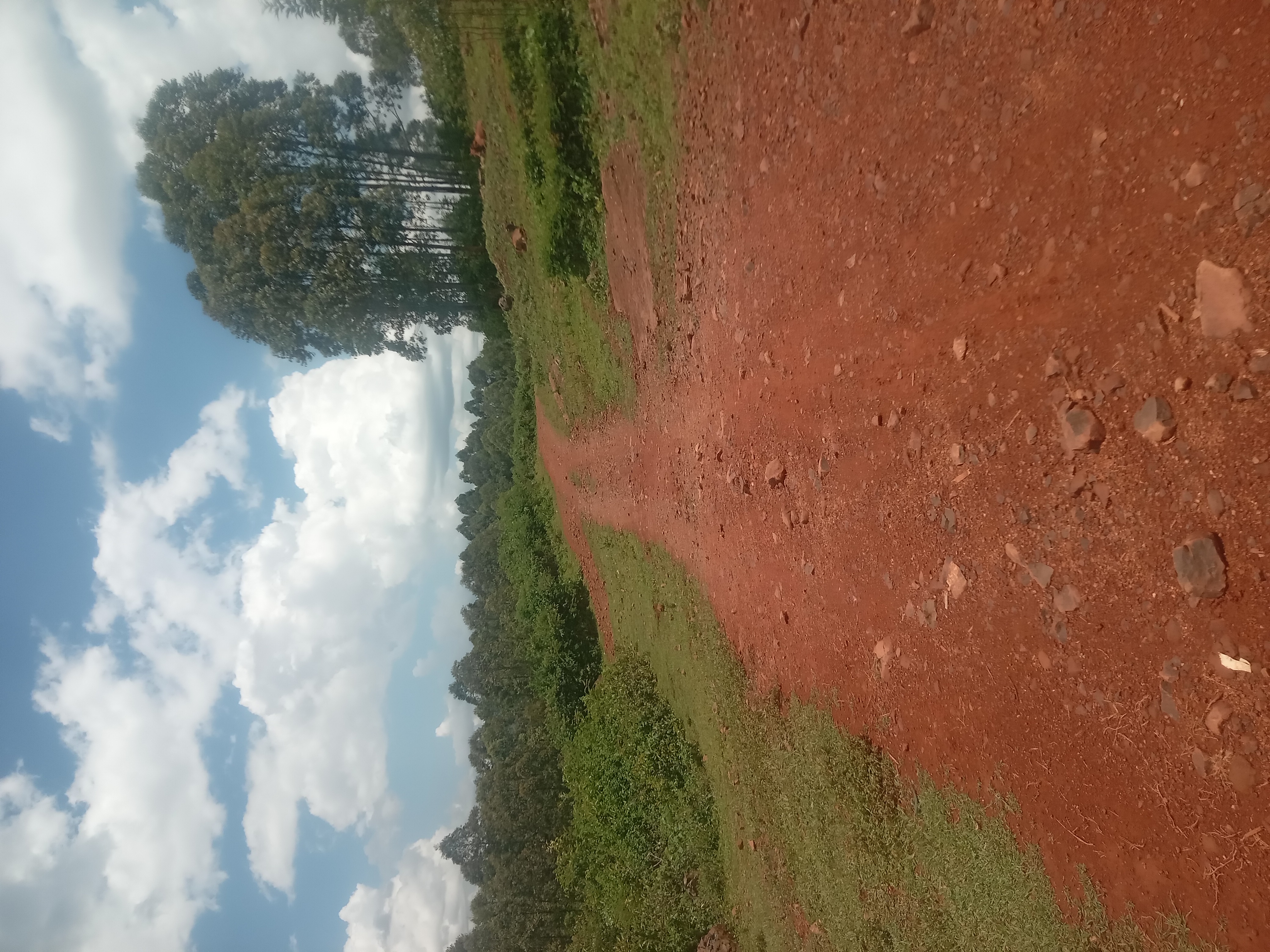 Kosano-Thim Road