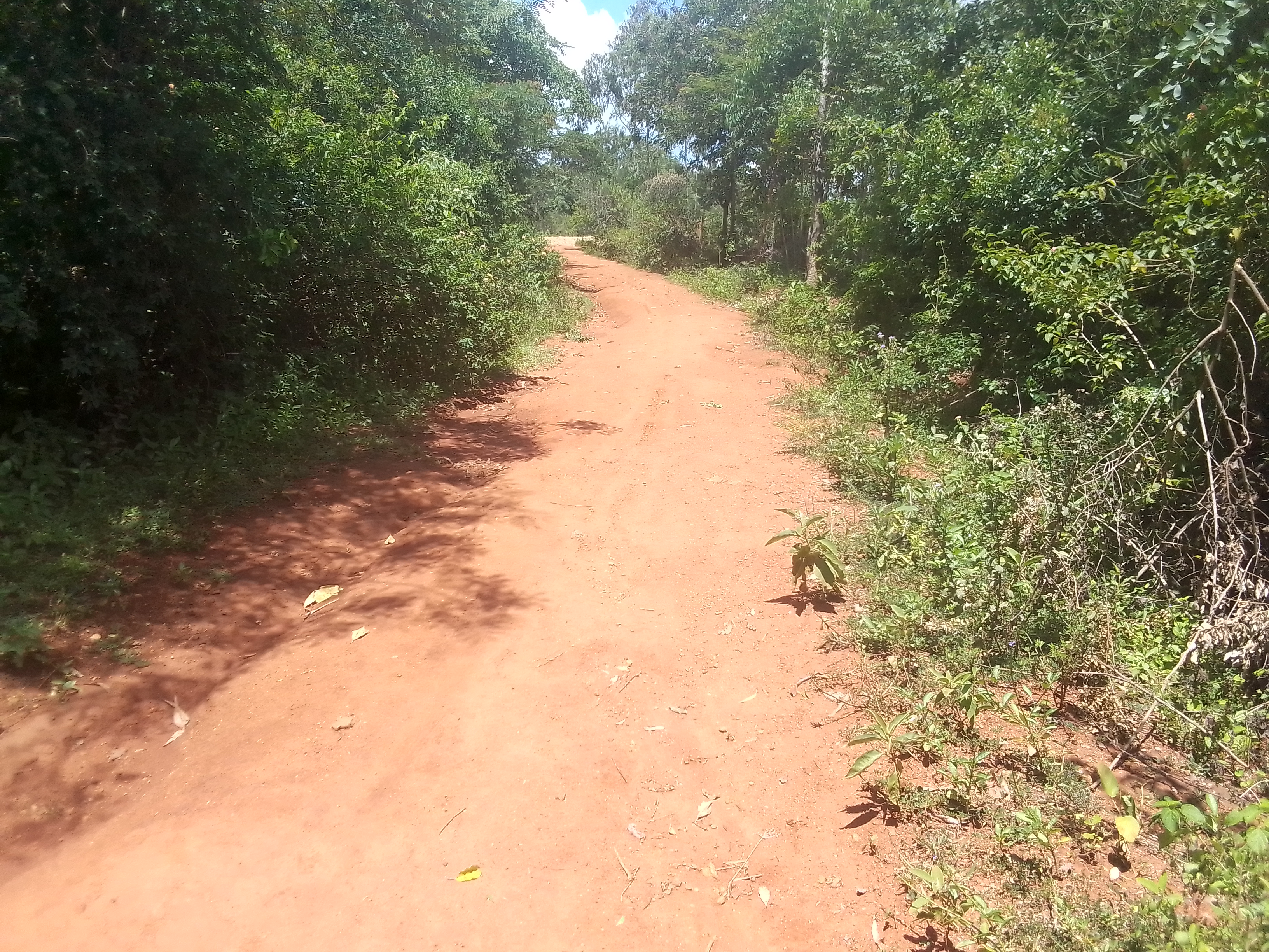 Ondisore -Soko SDA- Nyadiere Road.