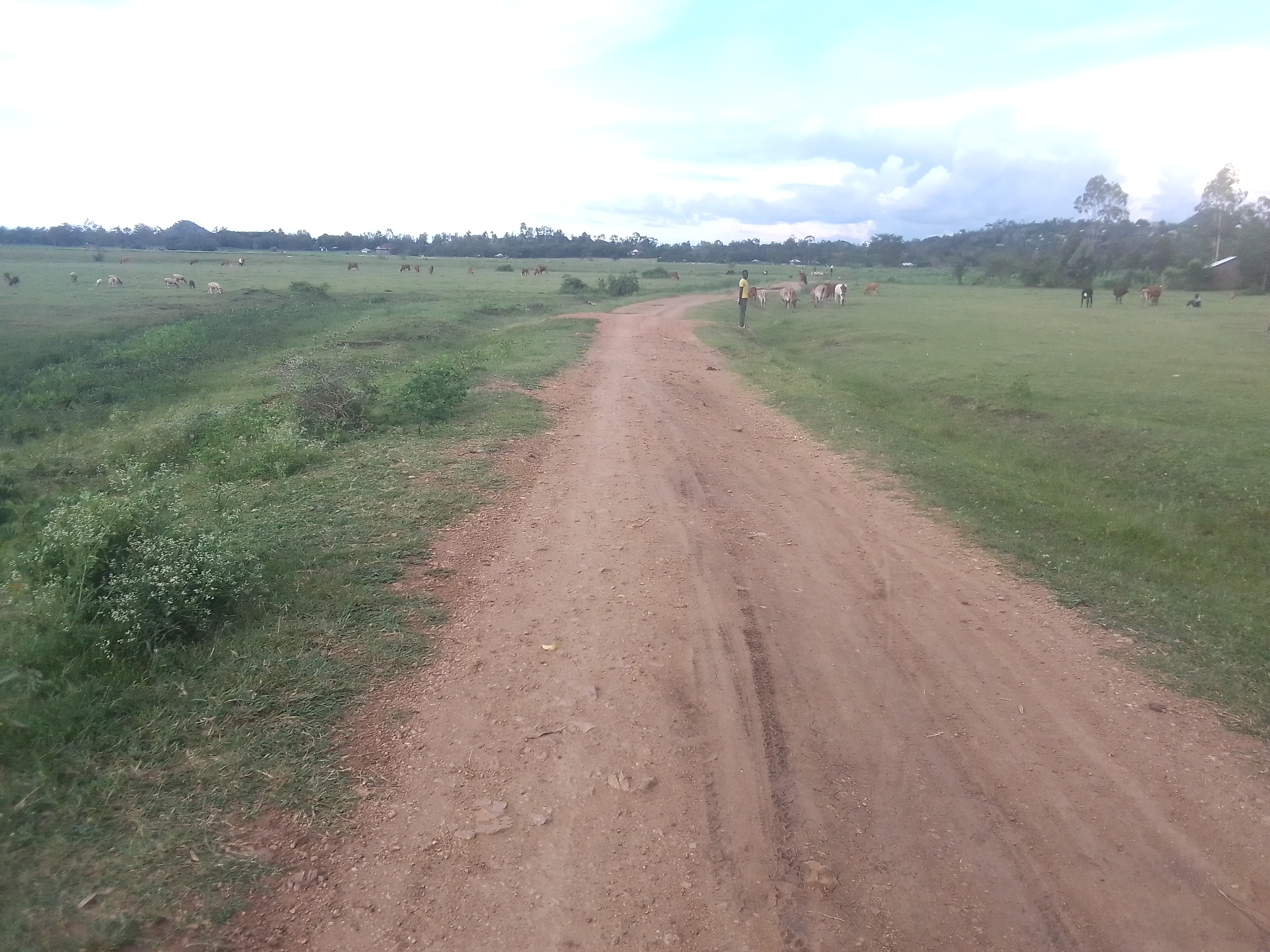 Olare -Tar Road