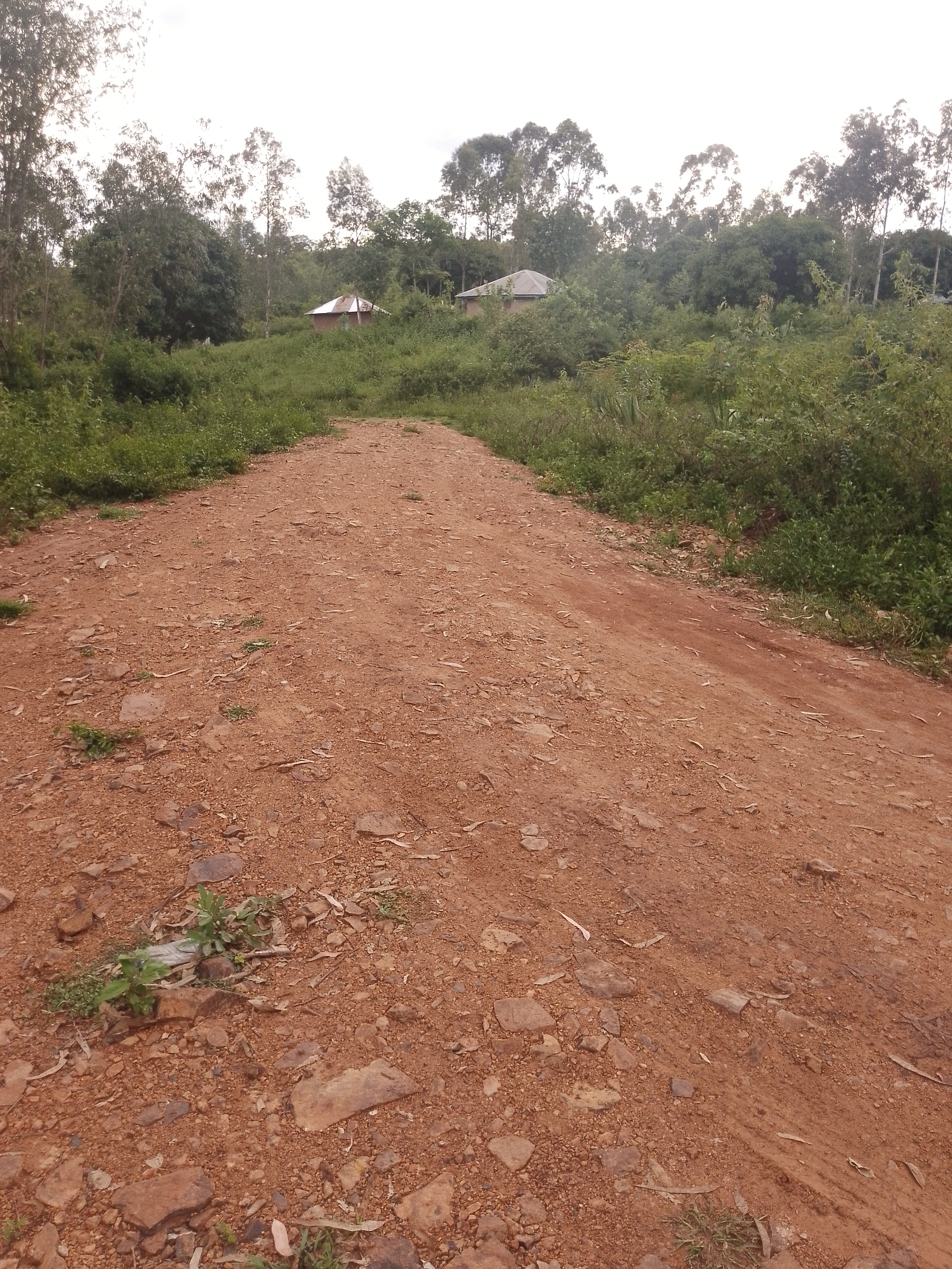 Oneno - Atili Bridge
