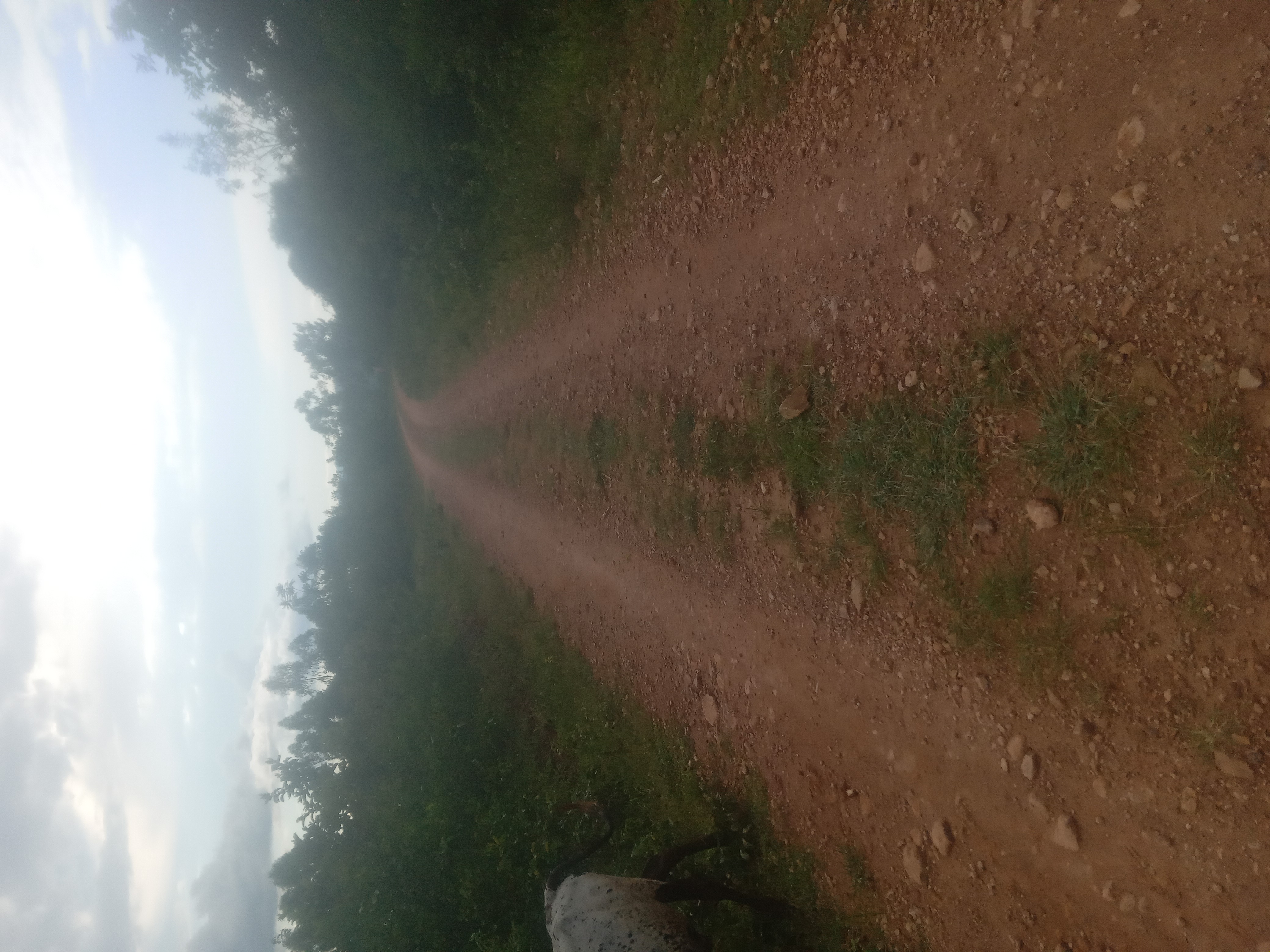 Kokombo Kodhiambo Sablon road